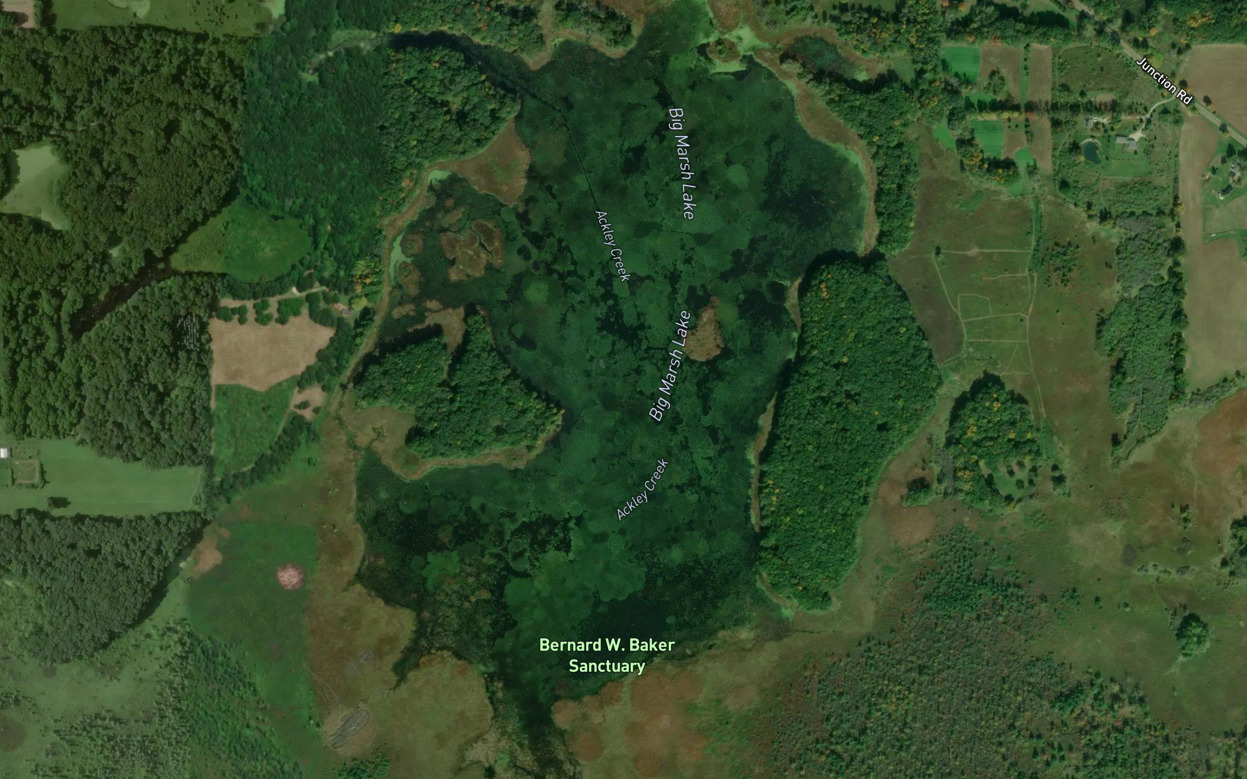 Big Marsh Lake