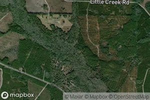 Little Creek