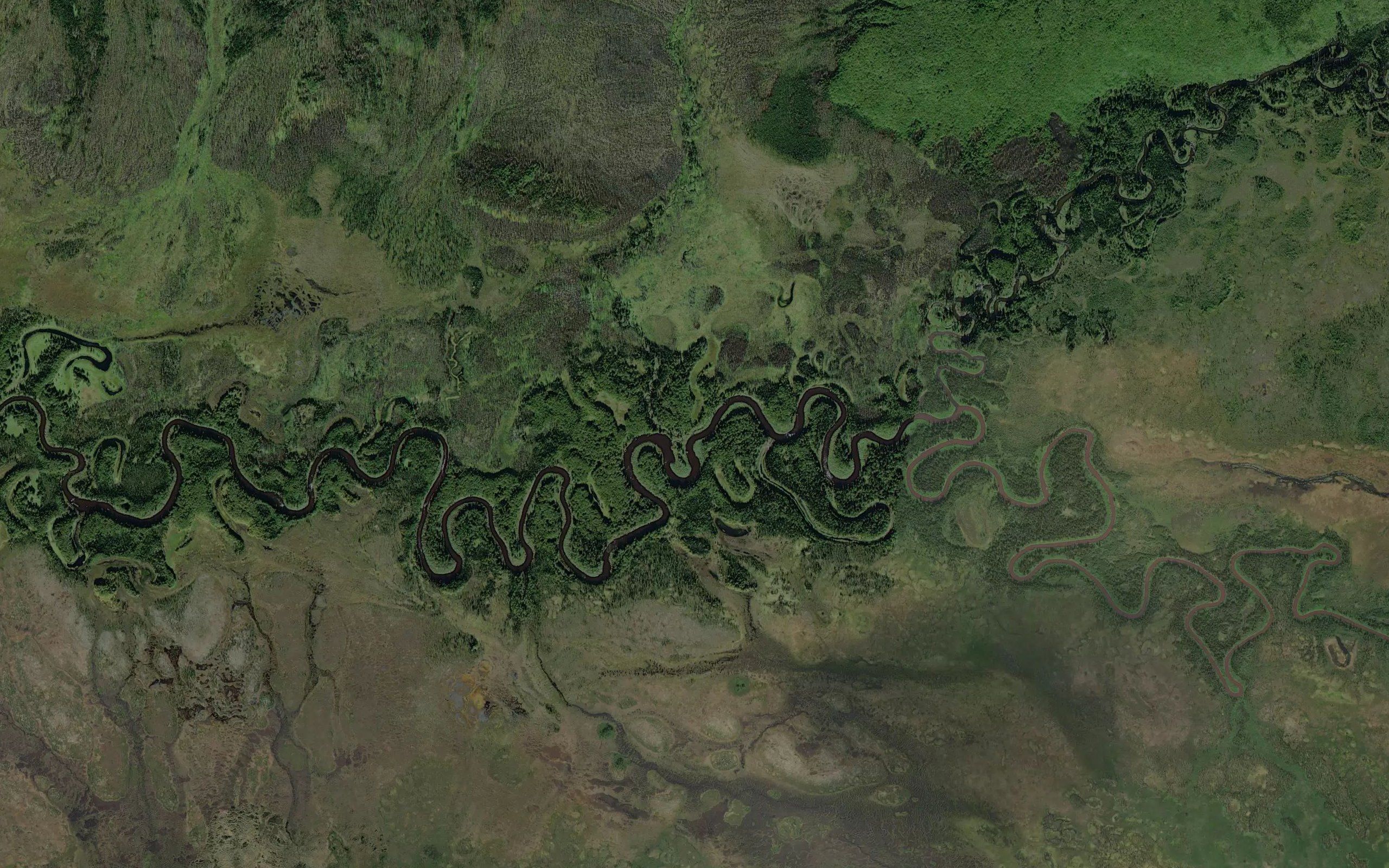 Illinois Creek