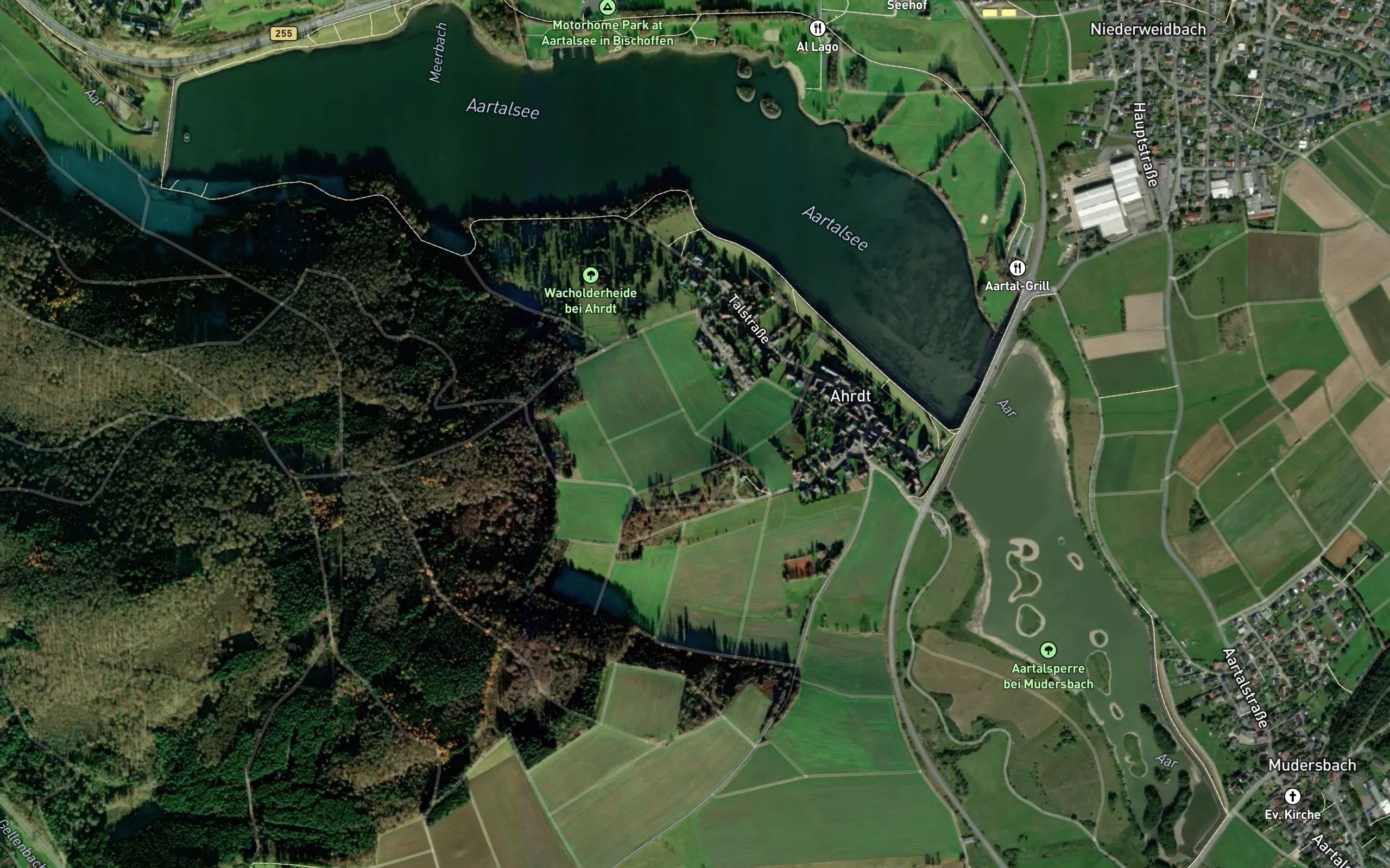 Weidbach