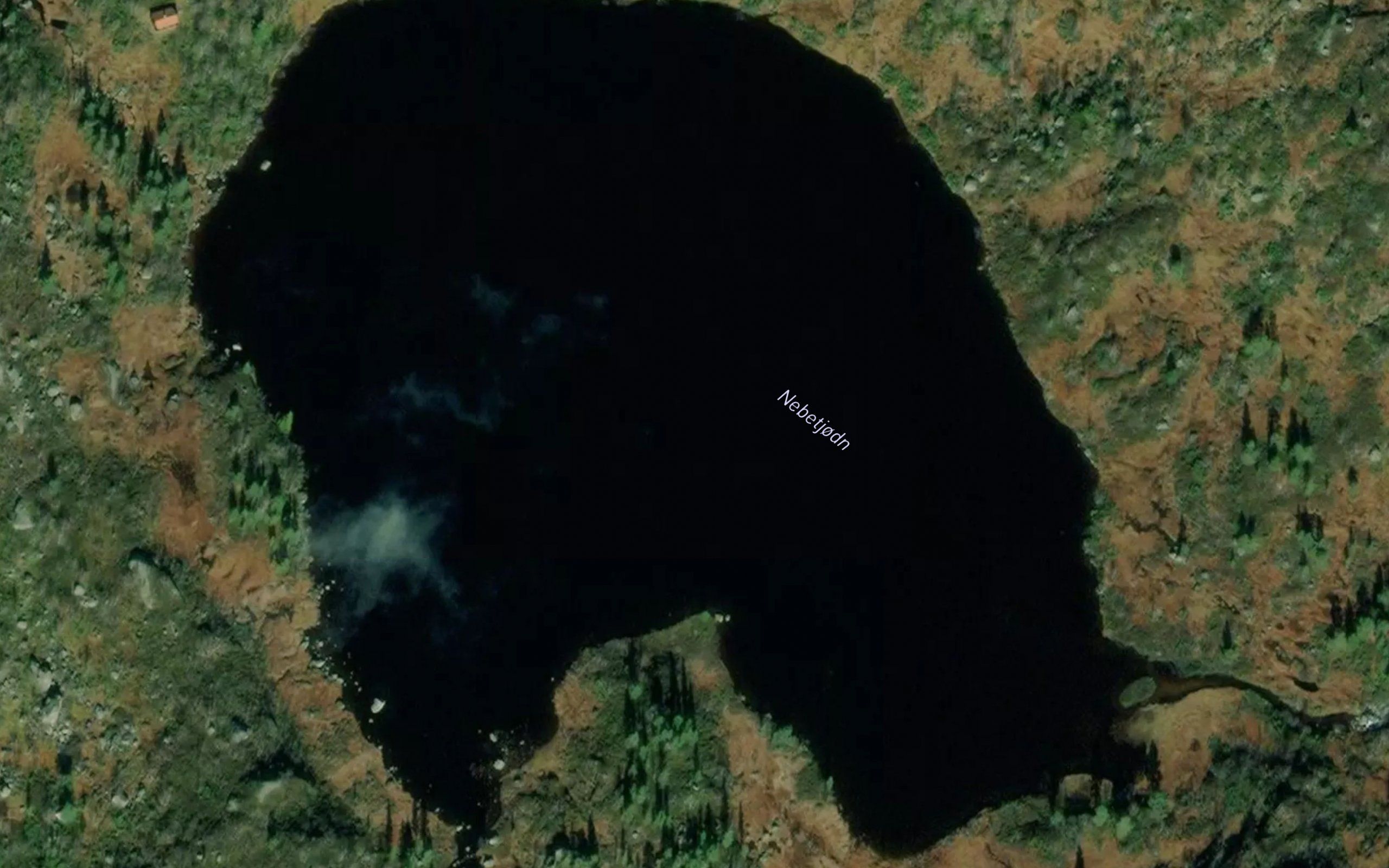 Nepetjorn
