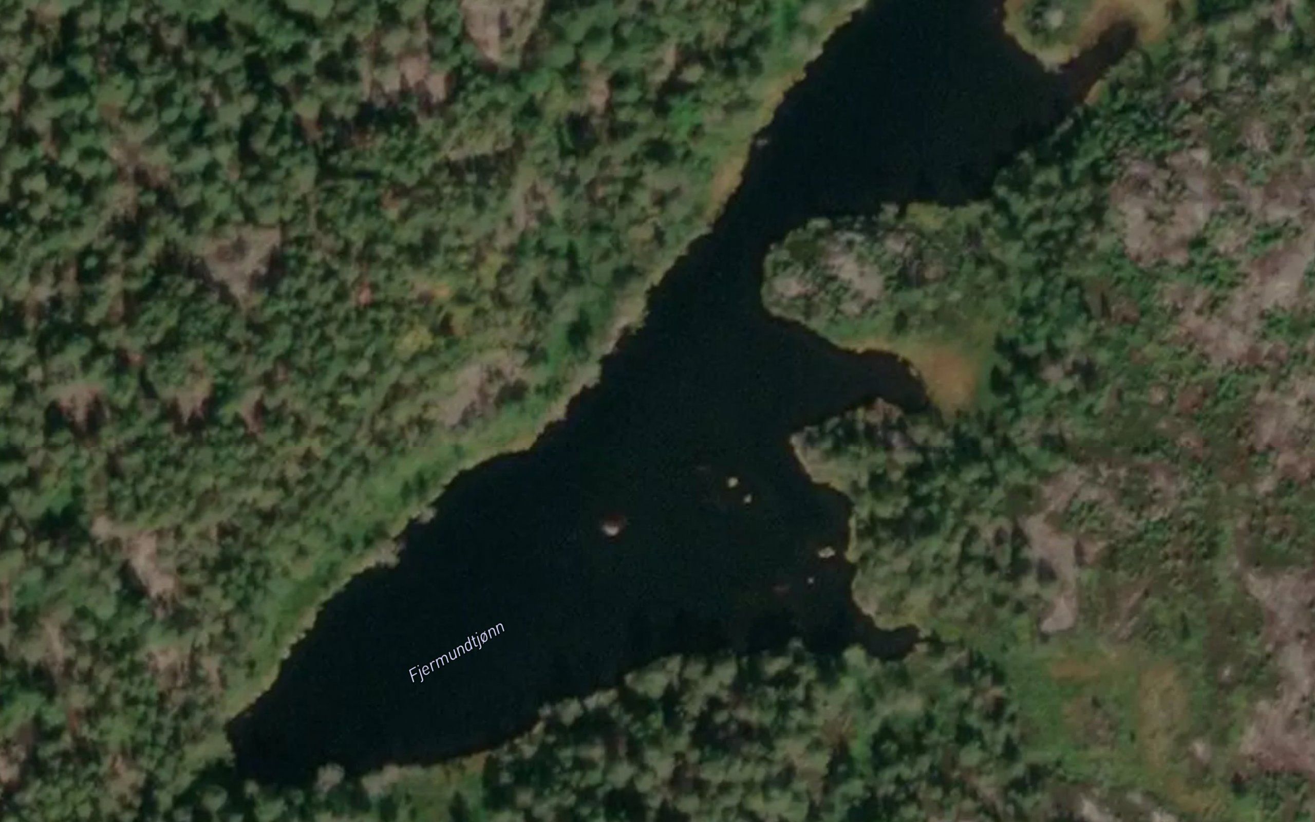 Fjermundtjorn
