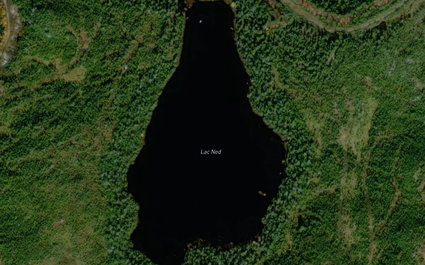 Satellite map of the Lac Ned