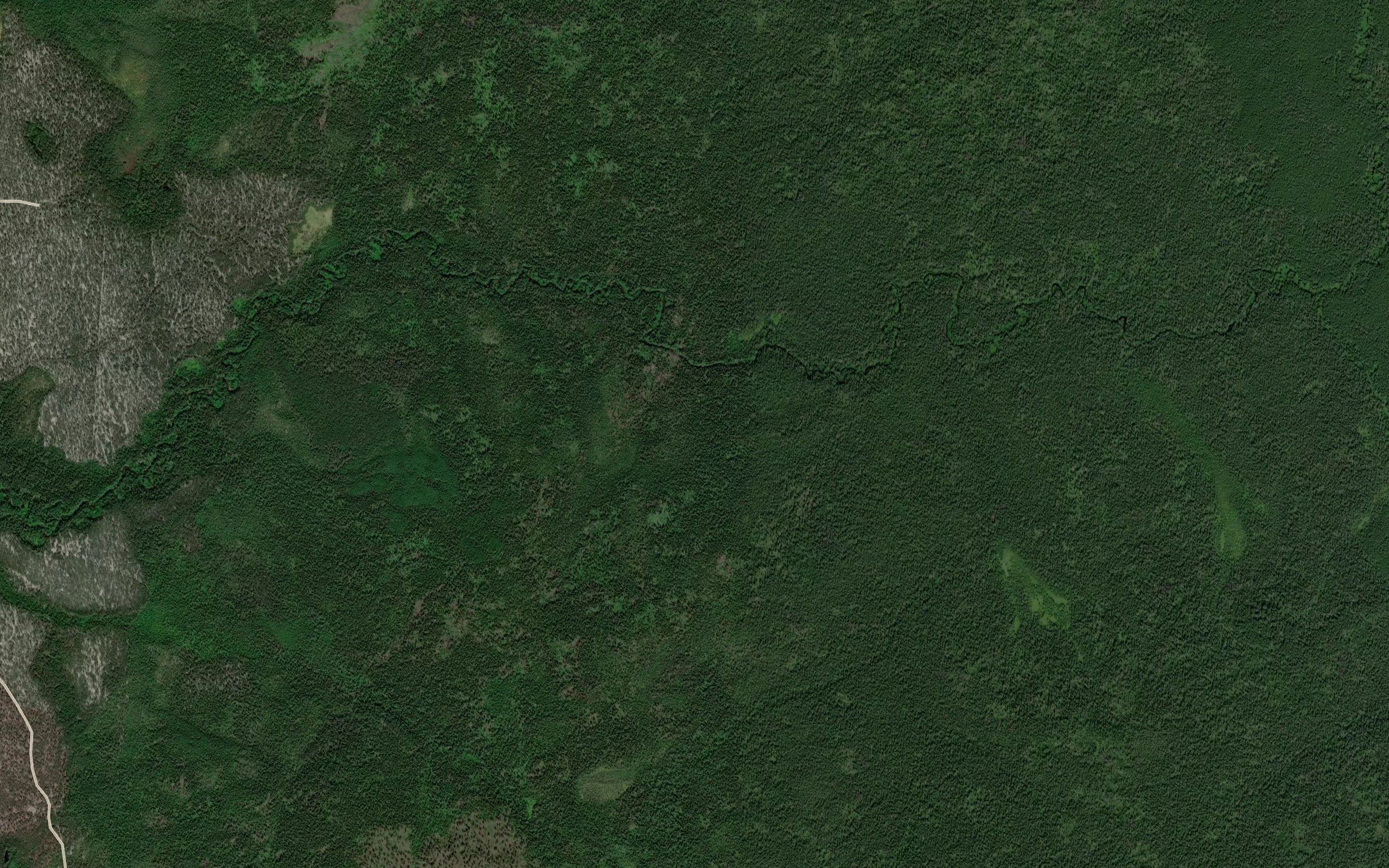 Sosnovets