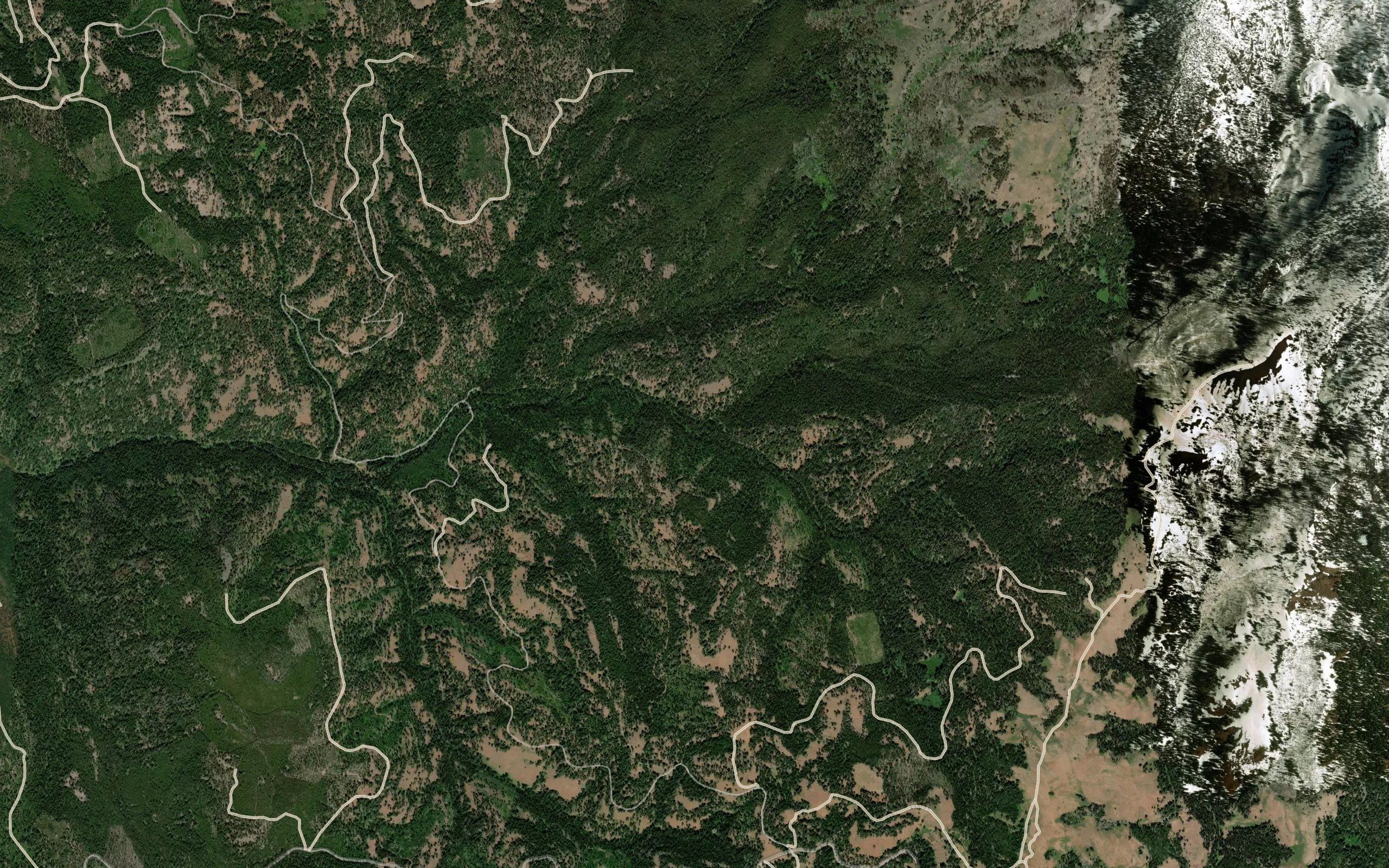 Collins Creek