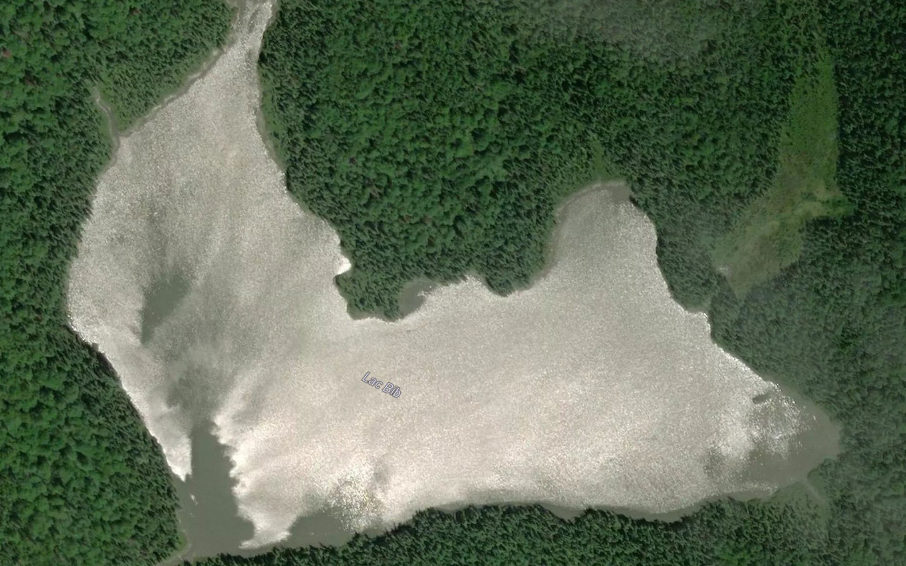 Satellite map of the Lac Bib