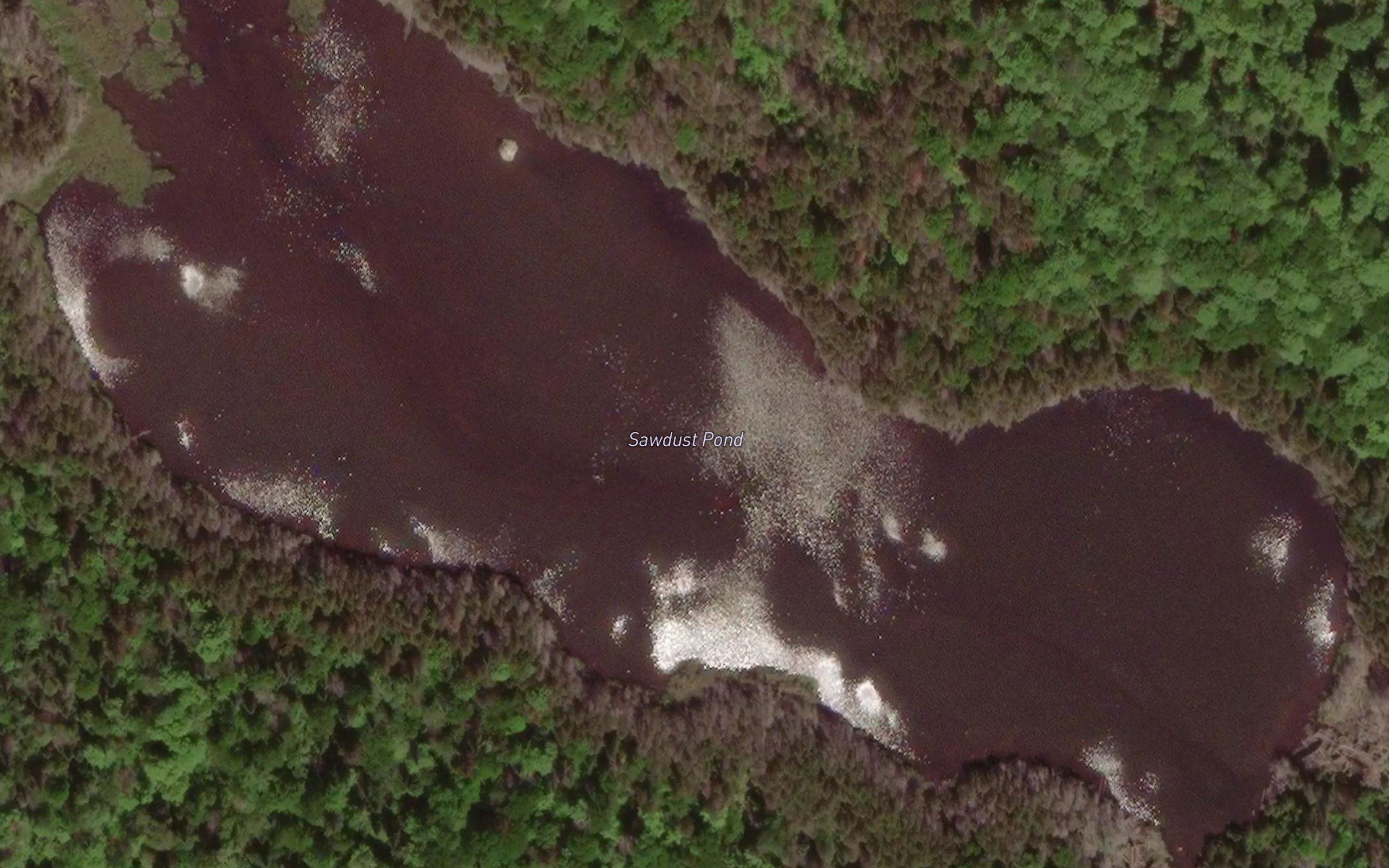 Sawdust Pond