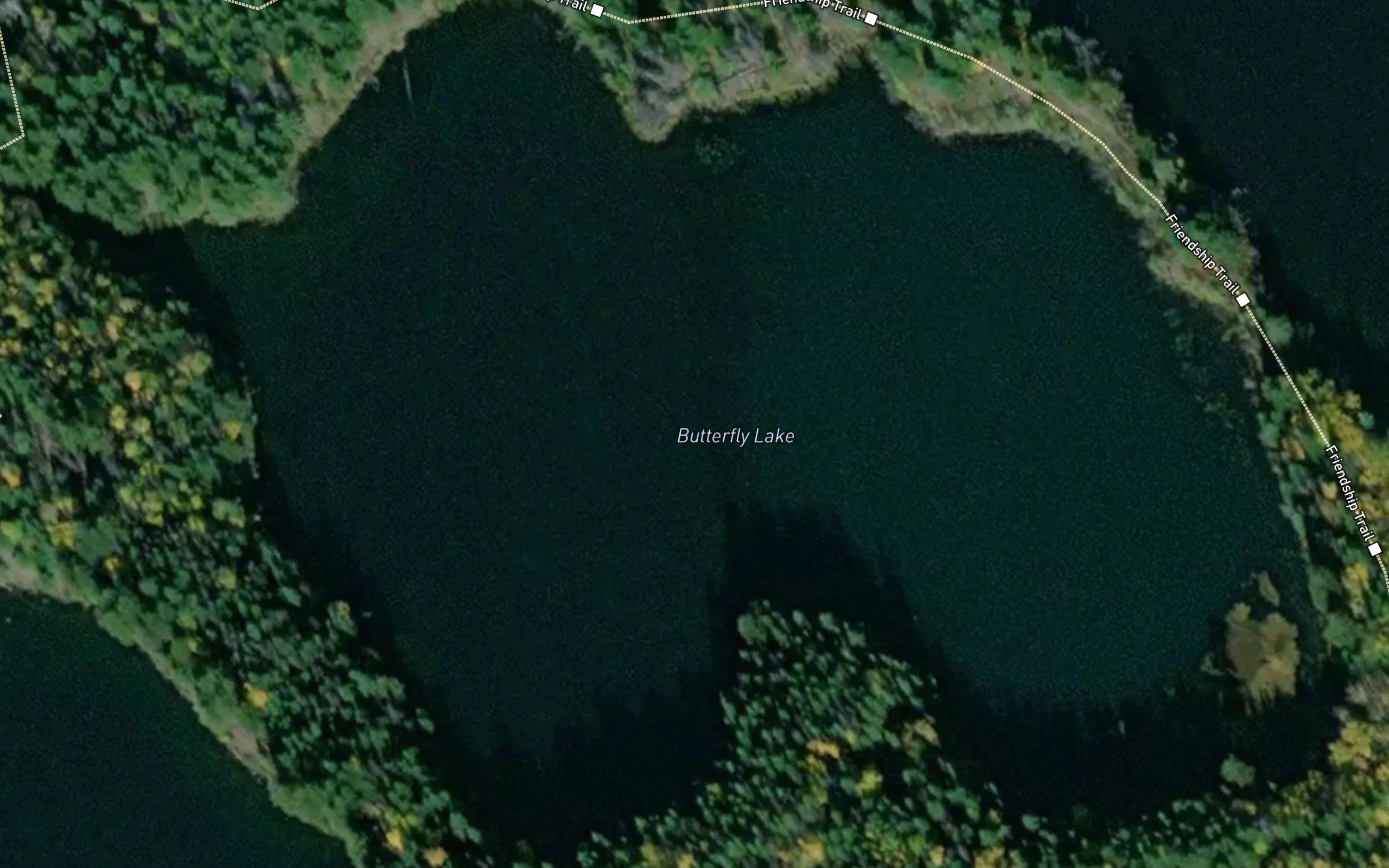 Butterfly Lake
