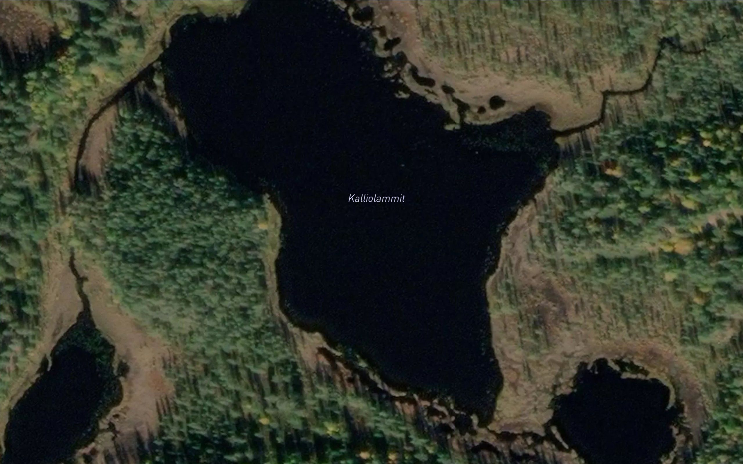 Kalliolammit