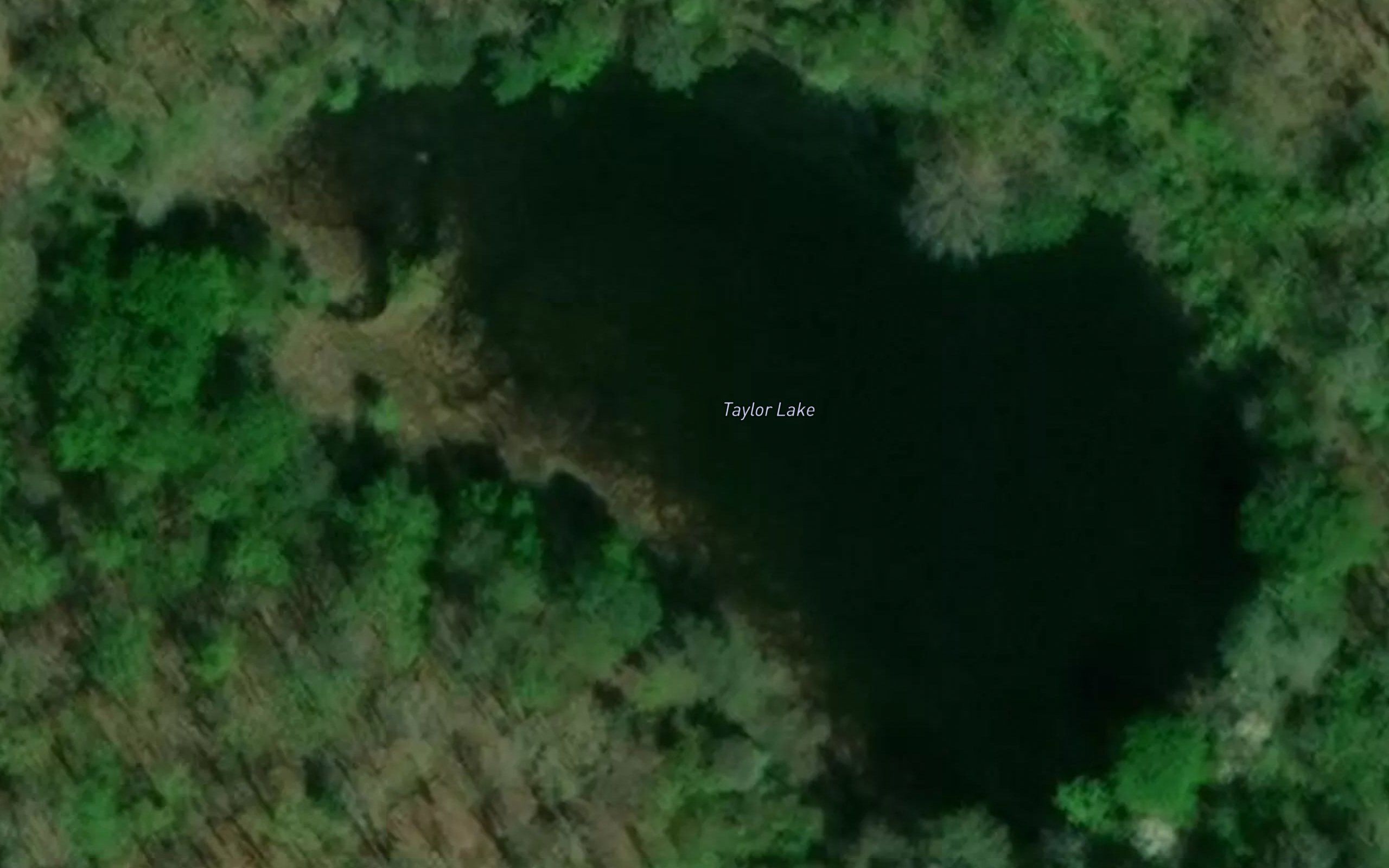 Taylor Lake