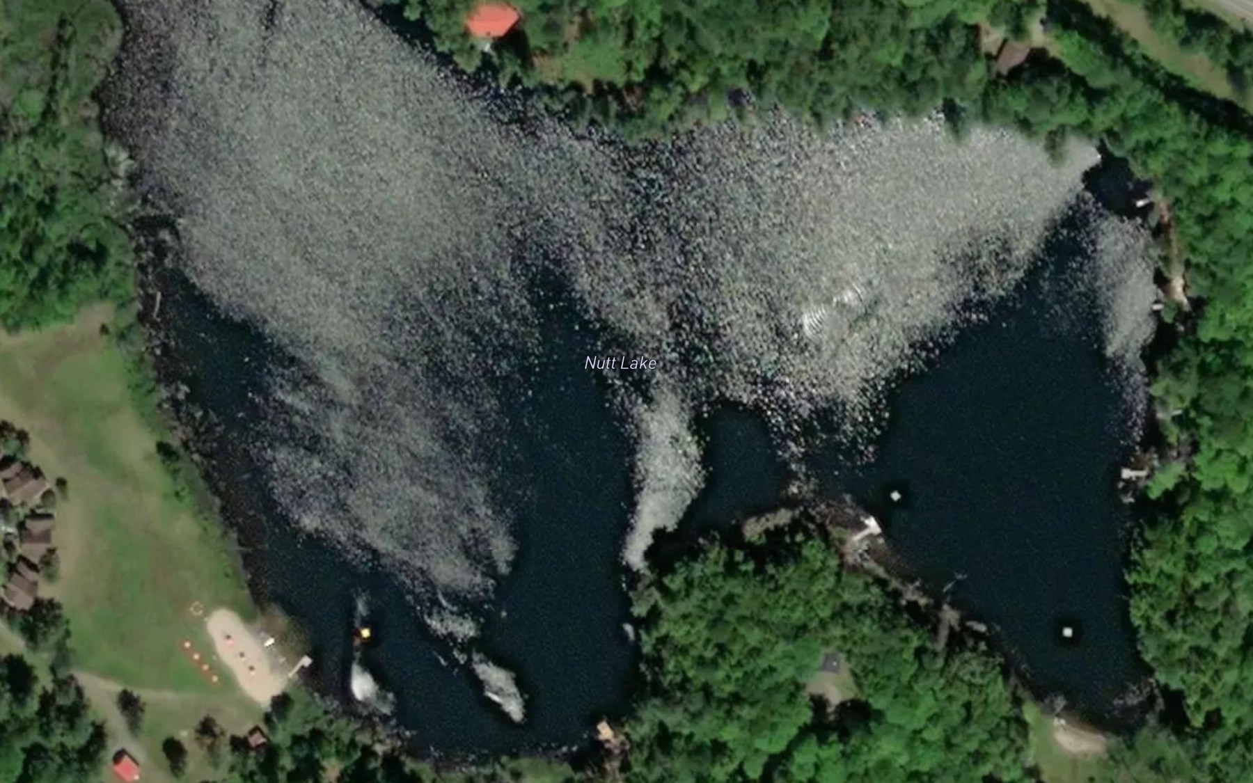 Satellite map of the Nutt Lake