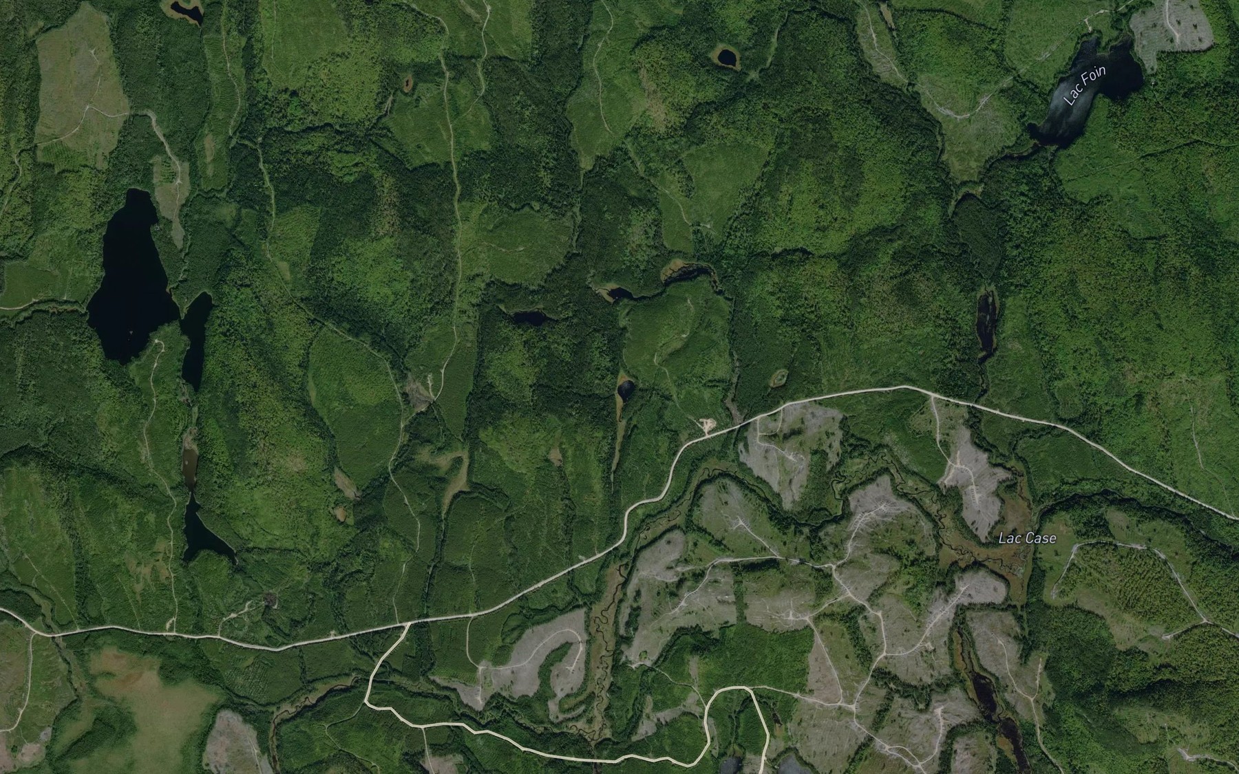 Satellite map of the Lac de la Vache