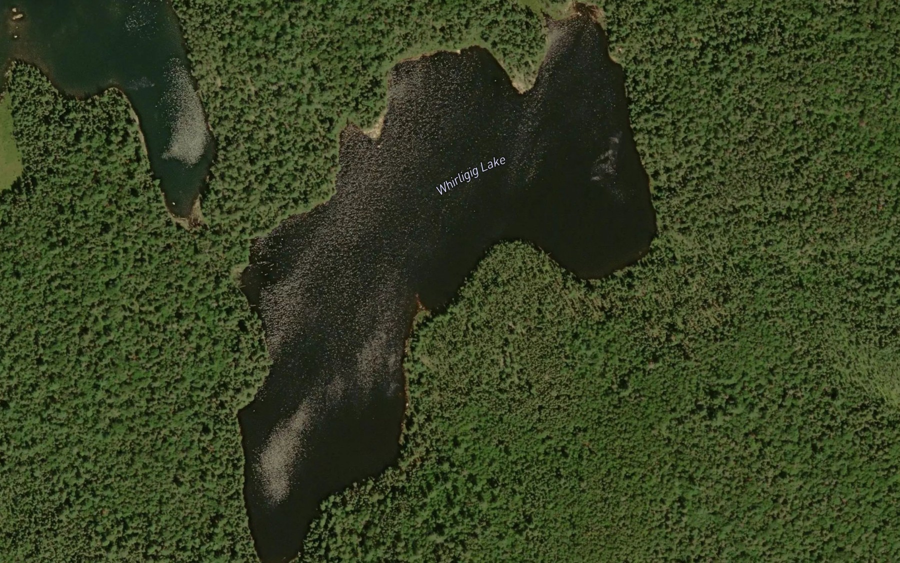 Satellite map of the Whirligig Lake