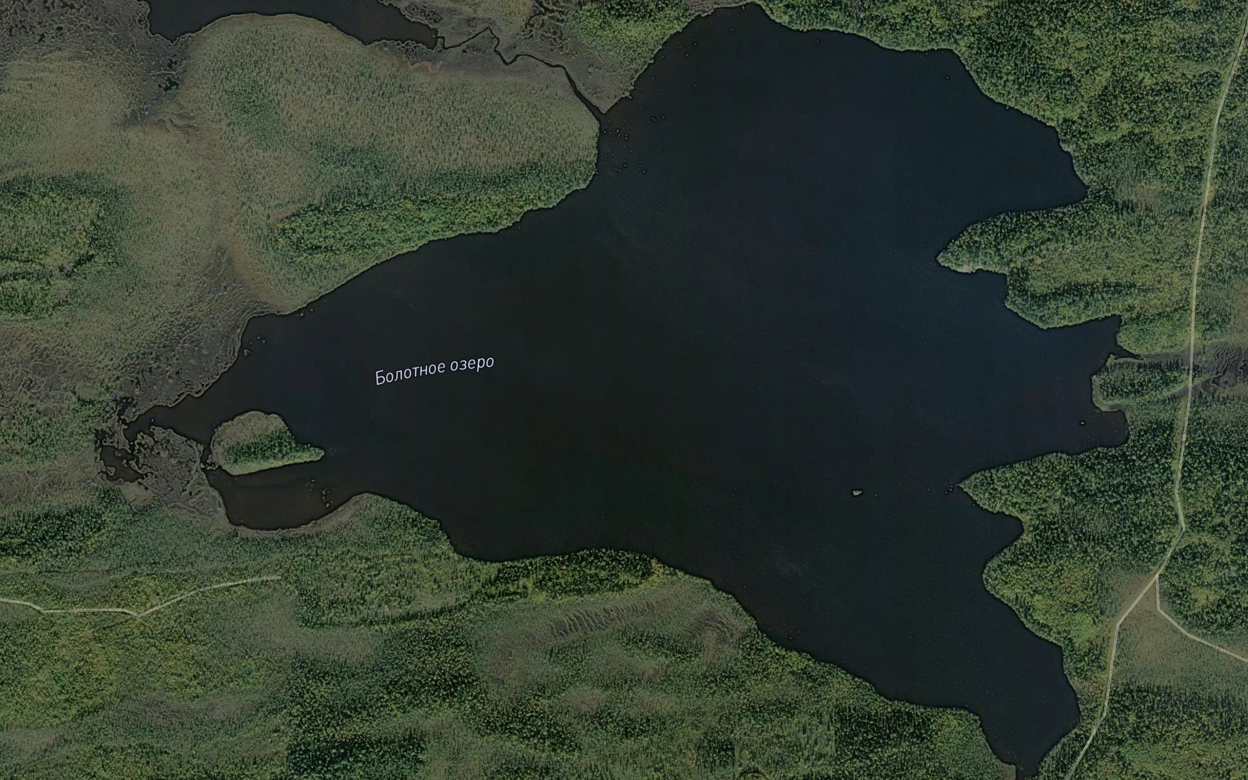 Ozero Bolotnoye