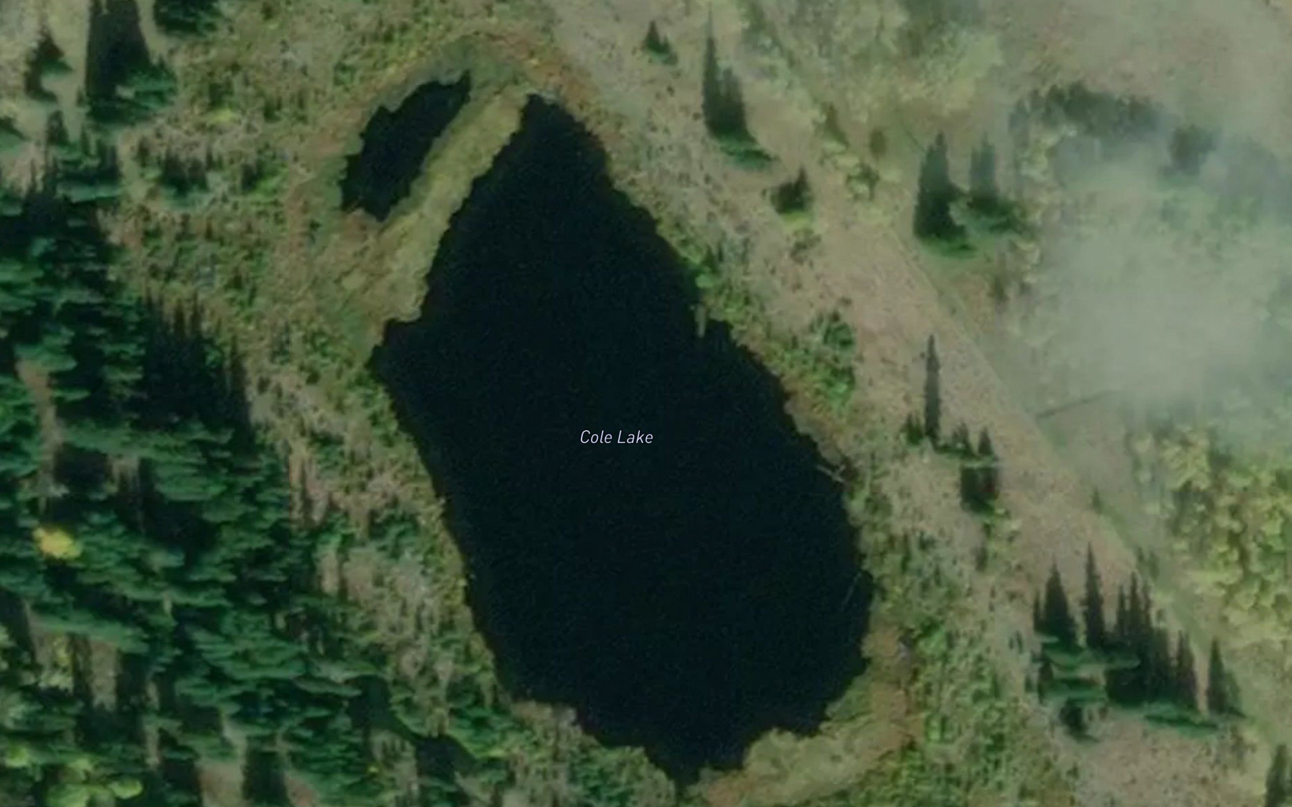 Cole Lake