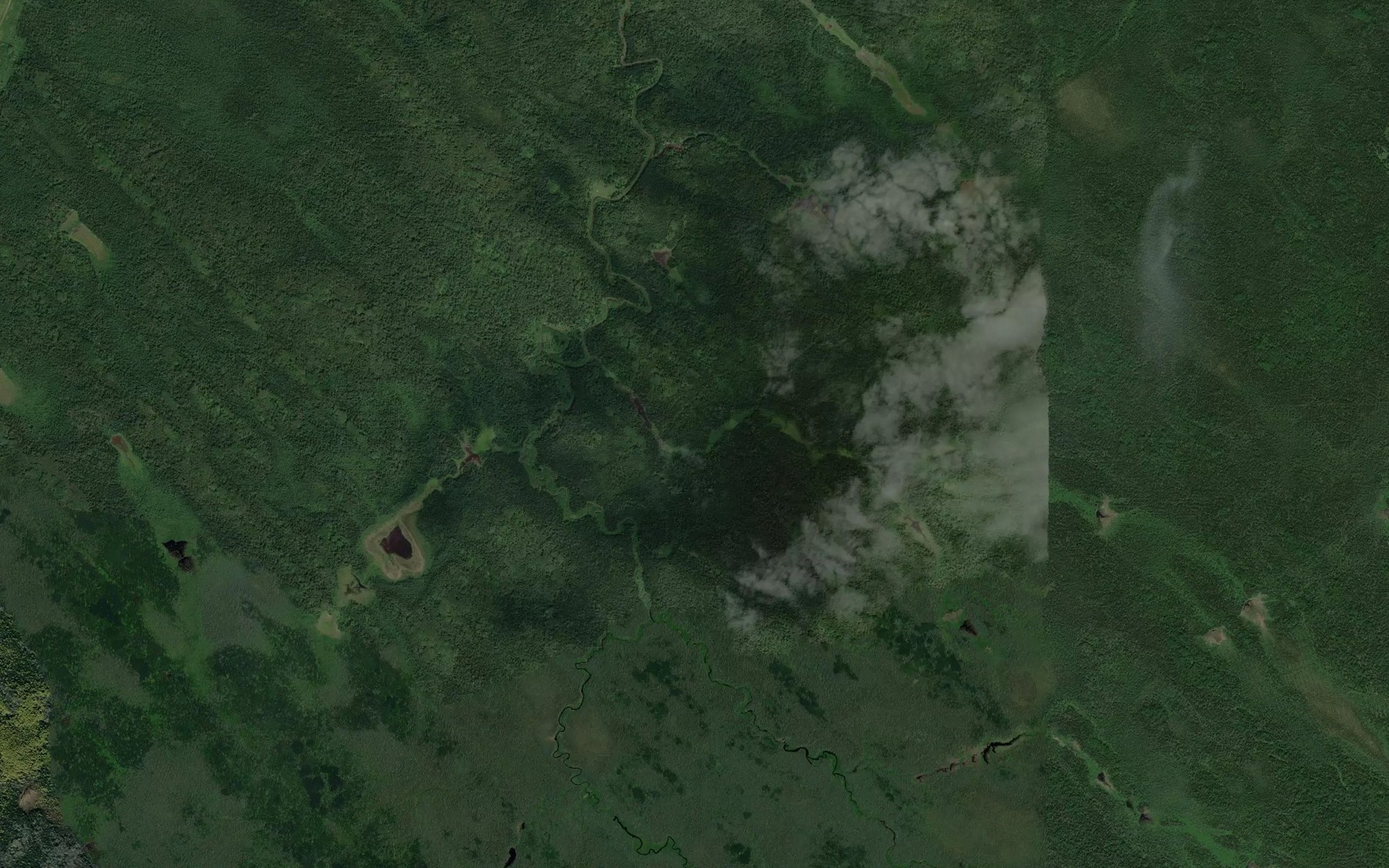 Satellite map of the Picea Creek