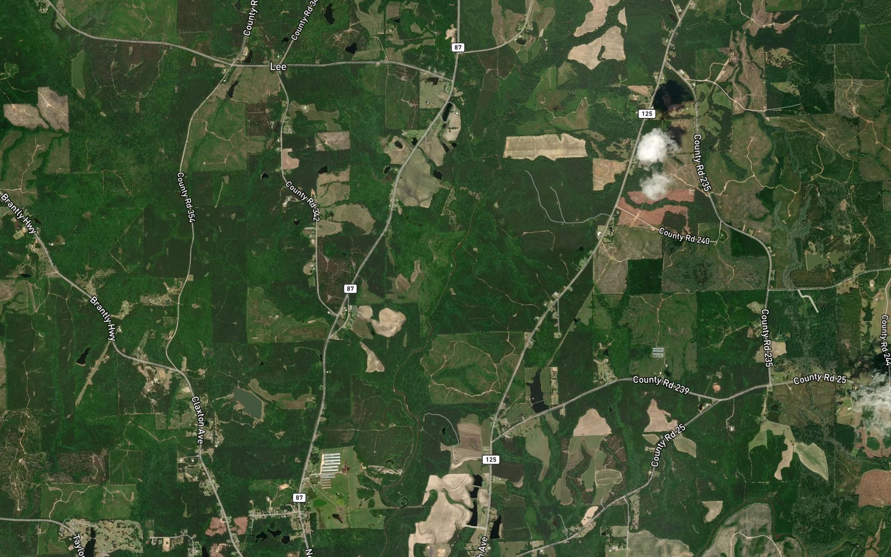 Satellite map of the Dorsey Branch