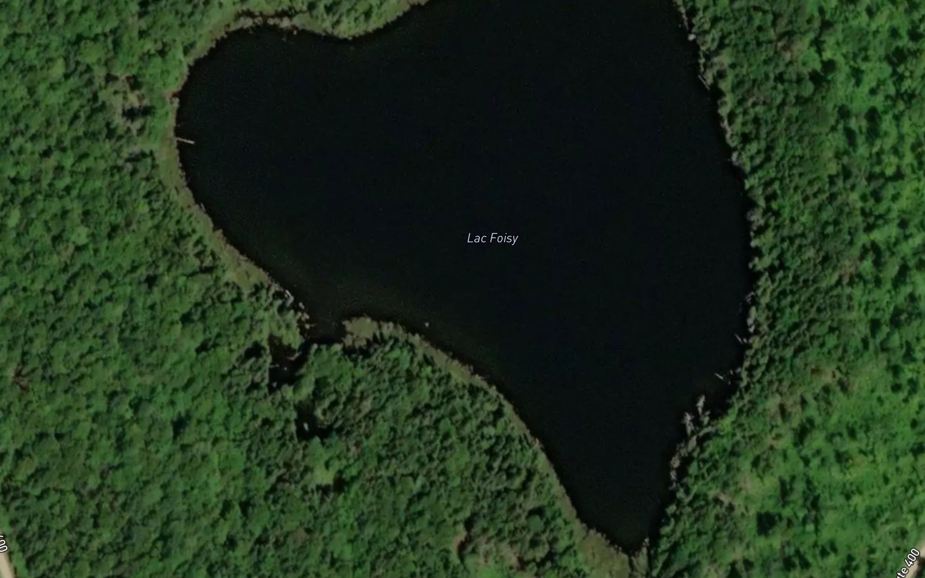 Satellite map of the Lac Foisy