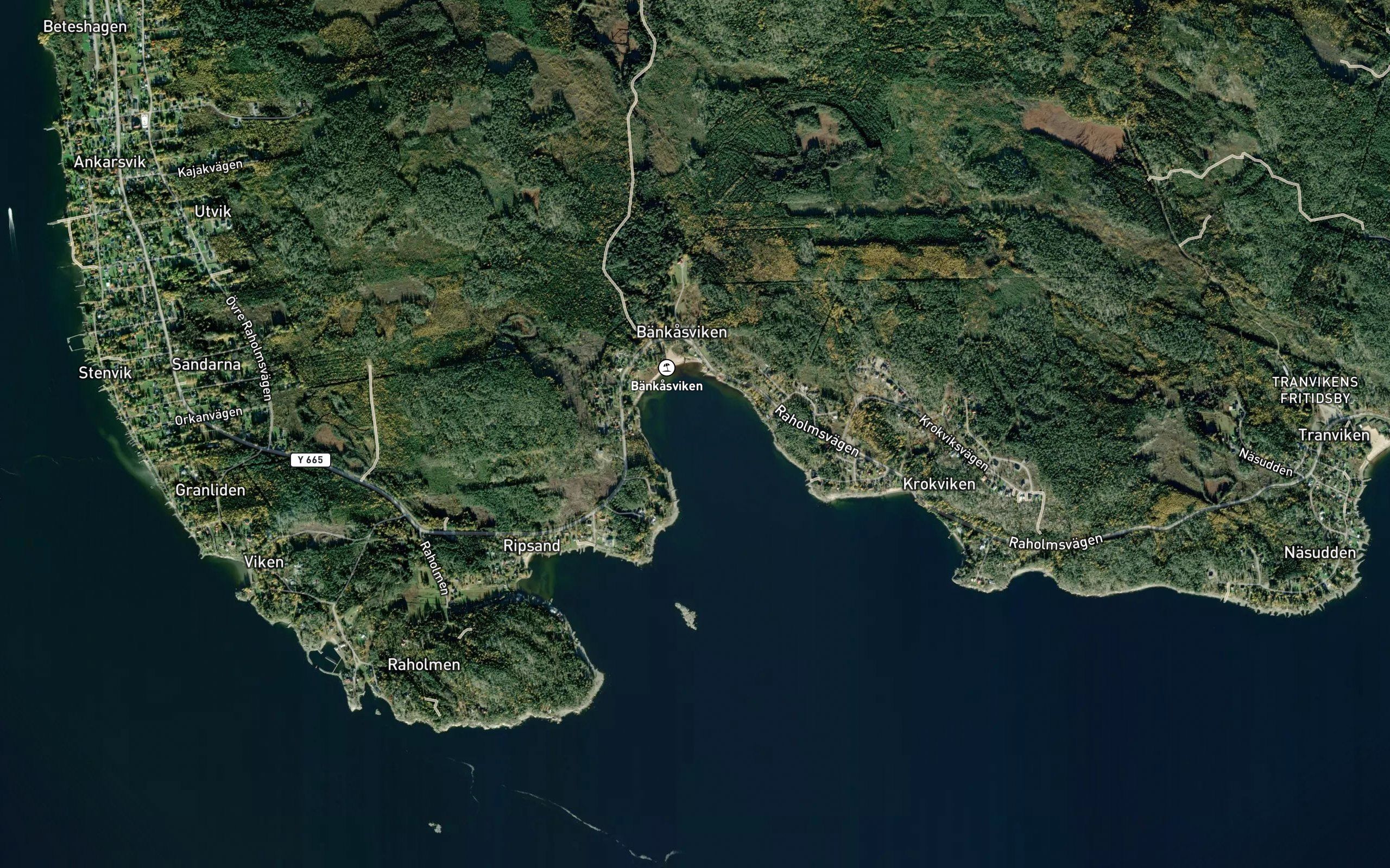 Bankasviken