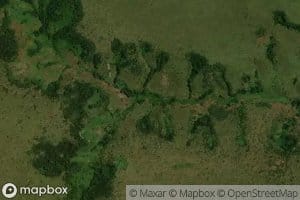 Kisonga