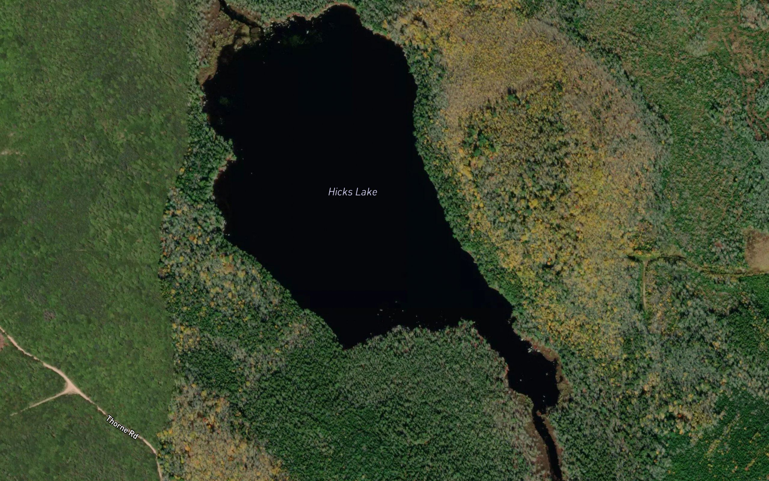 Hicks Lake