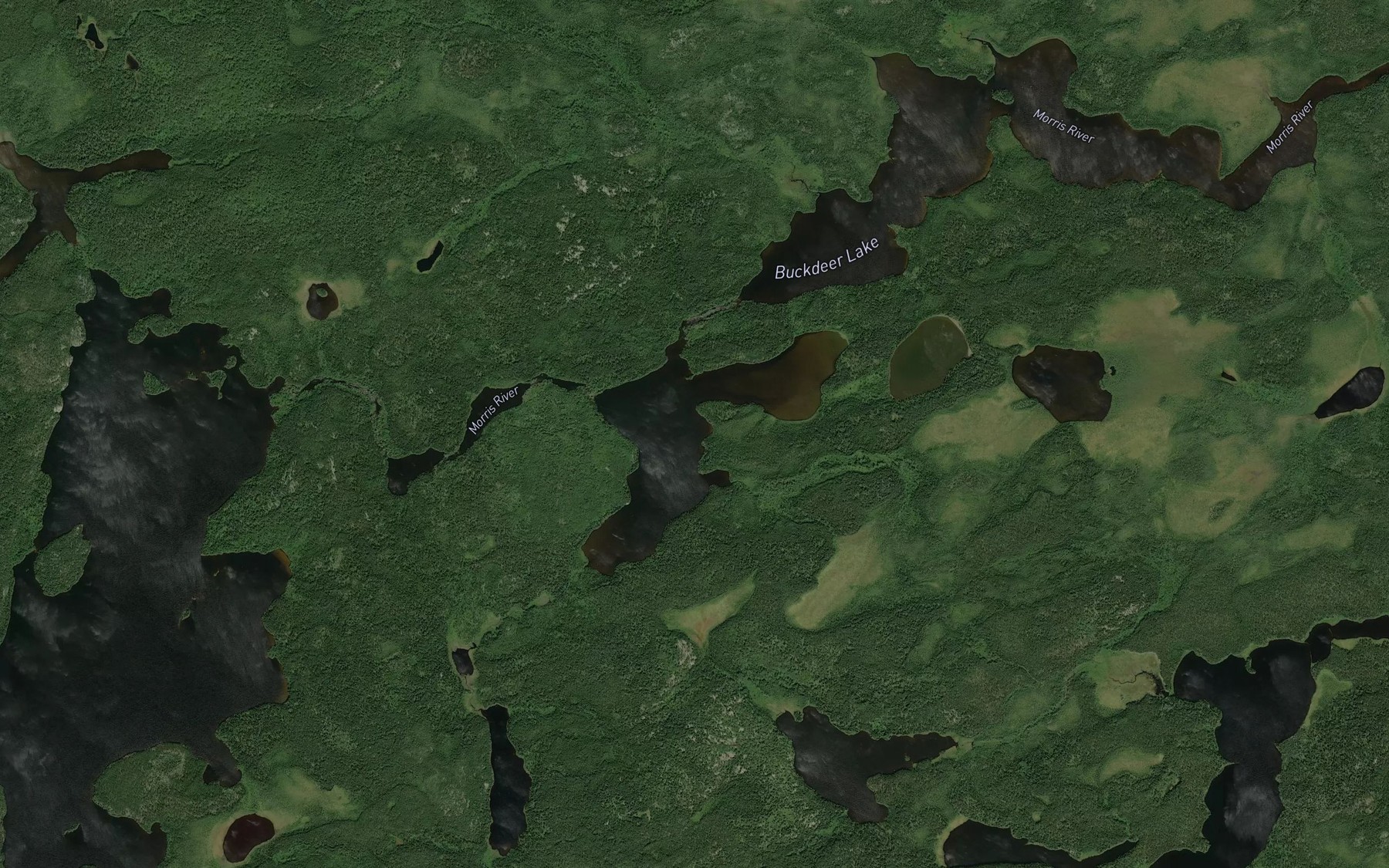 Satellite map of the Staddon Lake