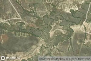 Coyote Creek