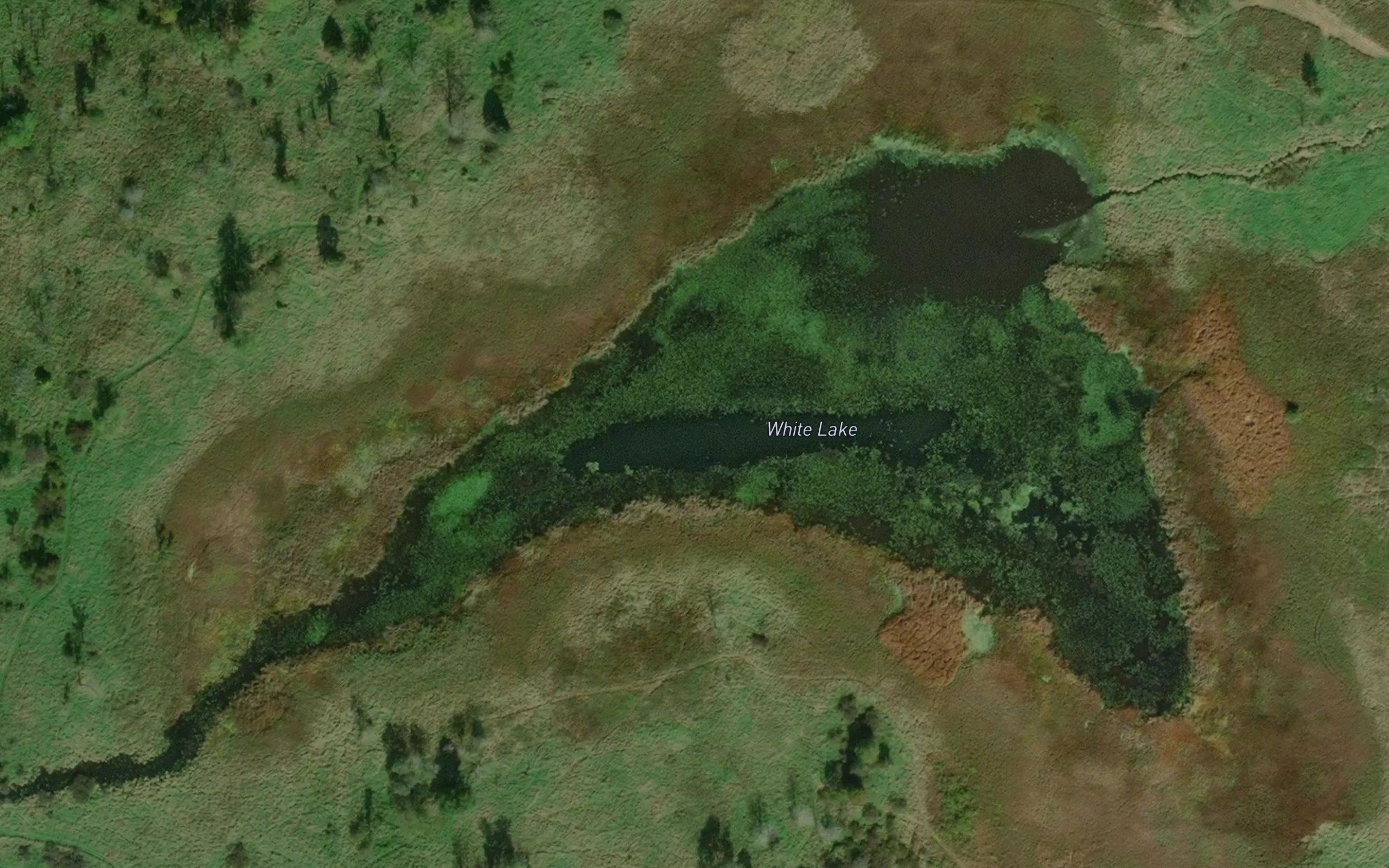 White Lake