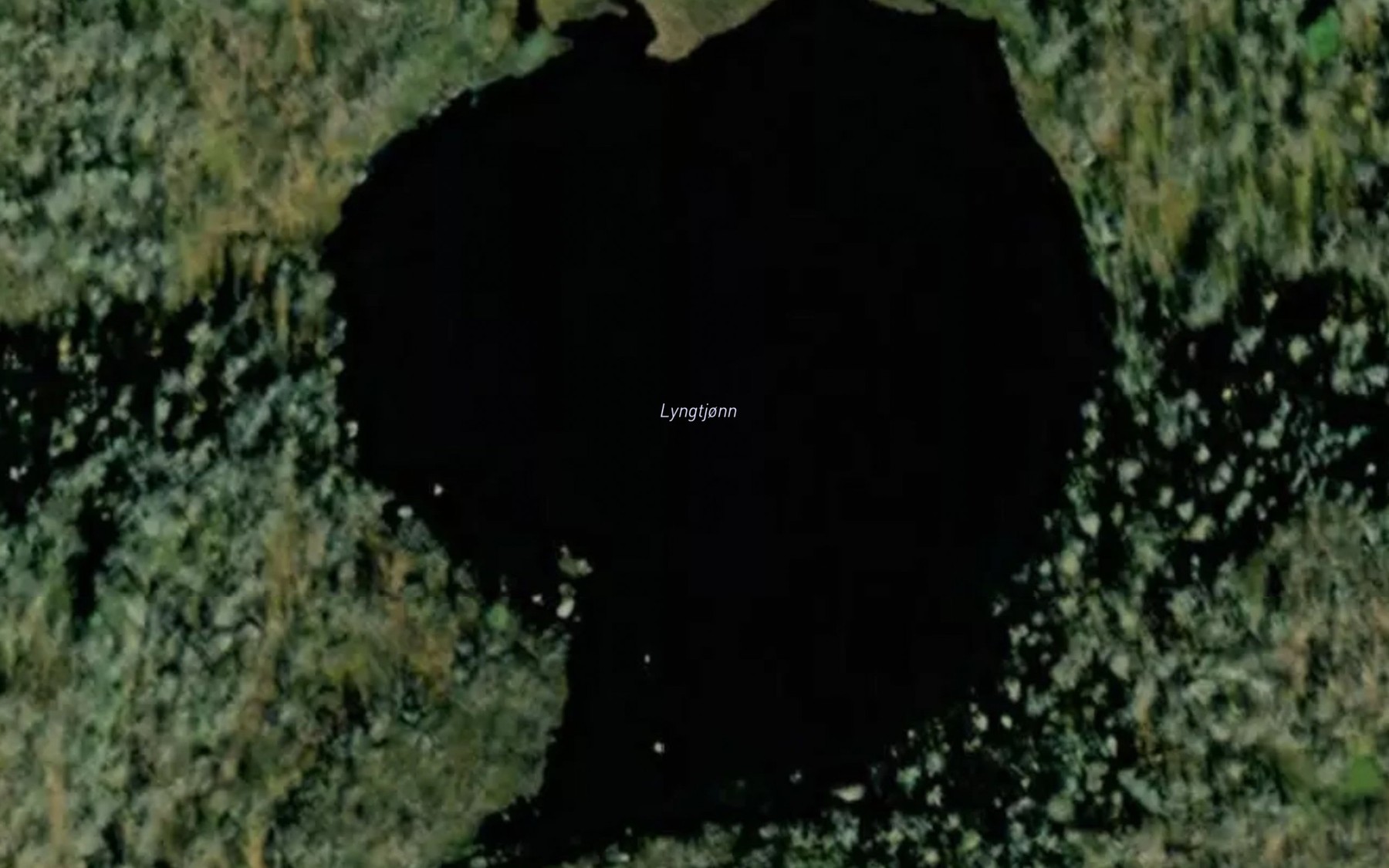 Satellite map of the Lyngtjonn