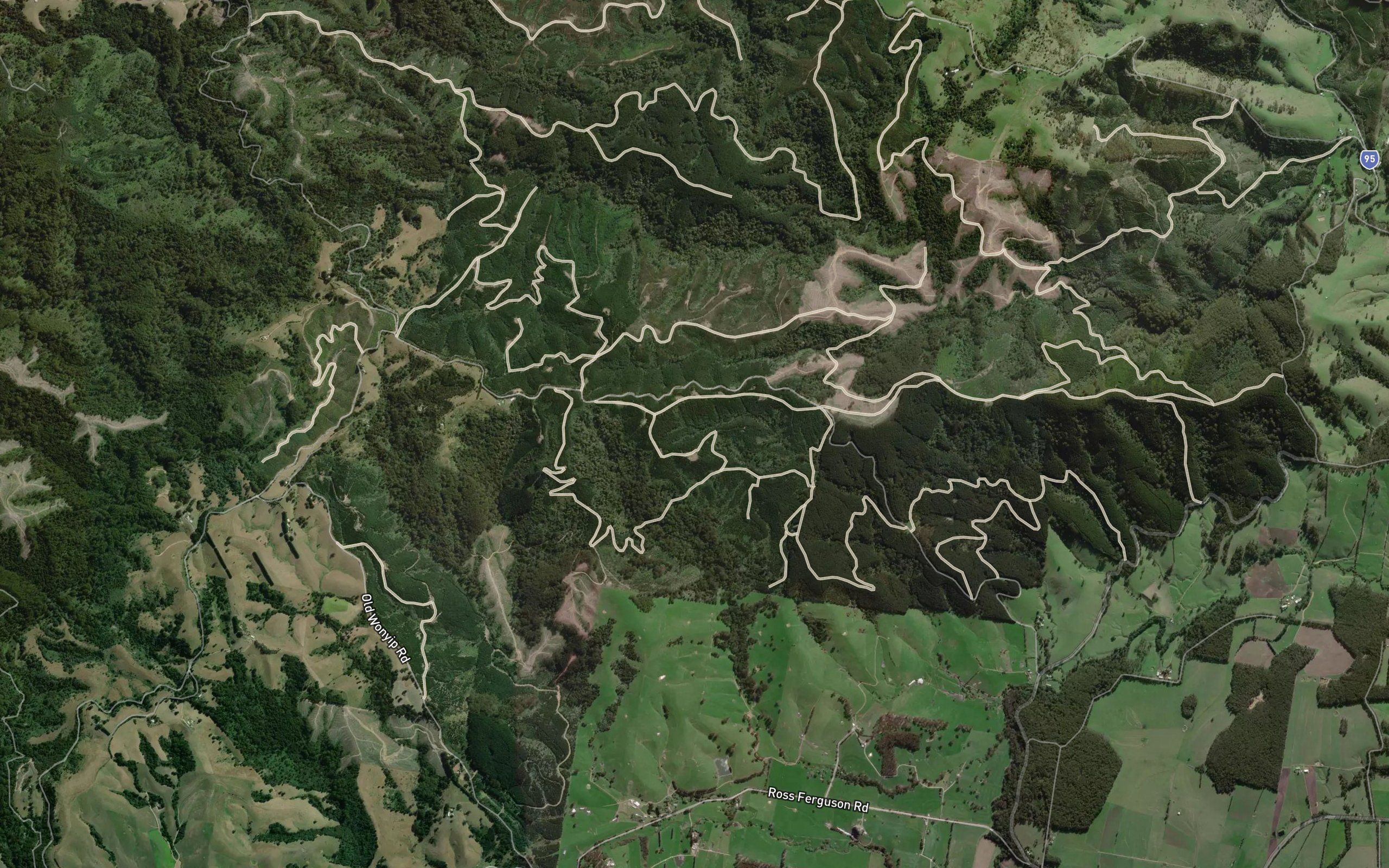 Billy Creek