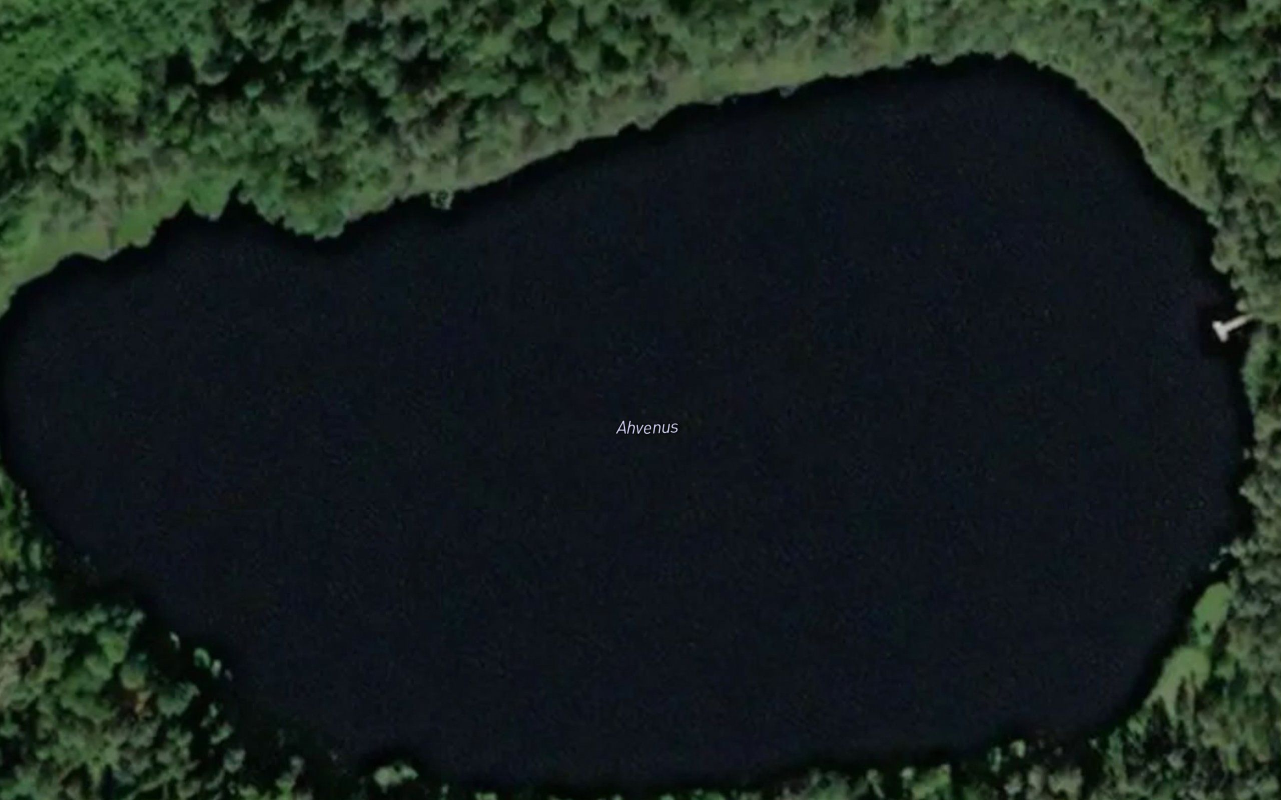Ahvenus