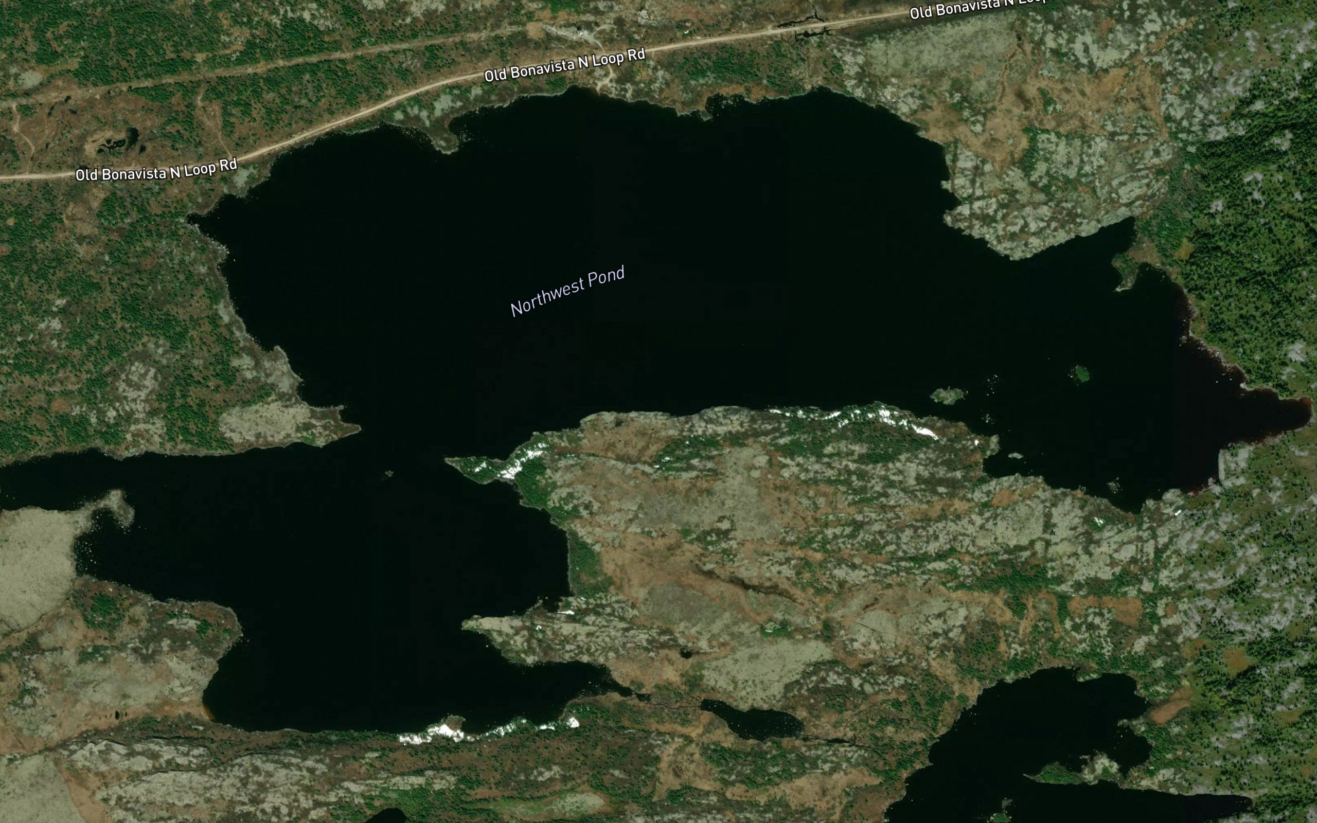 Northwest Pond