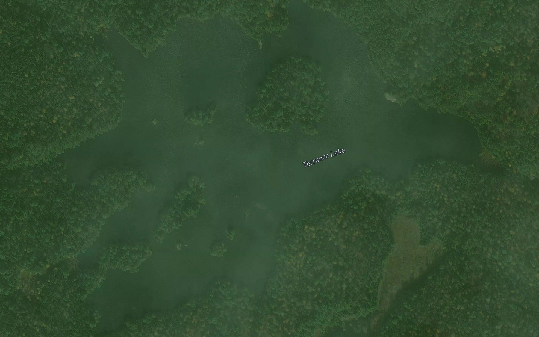 Satellite map of the Terrance Lake