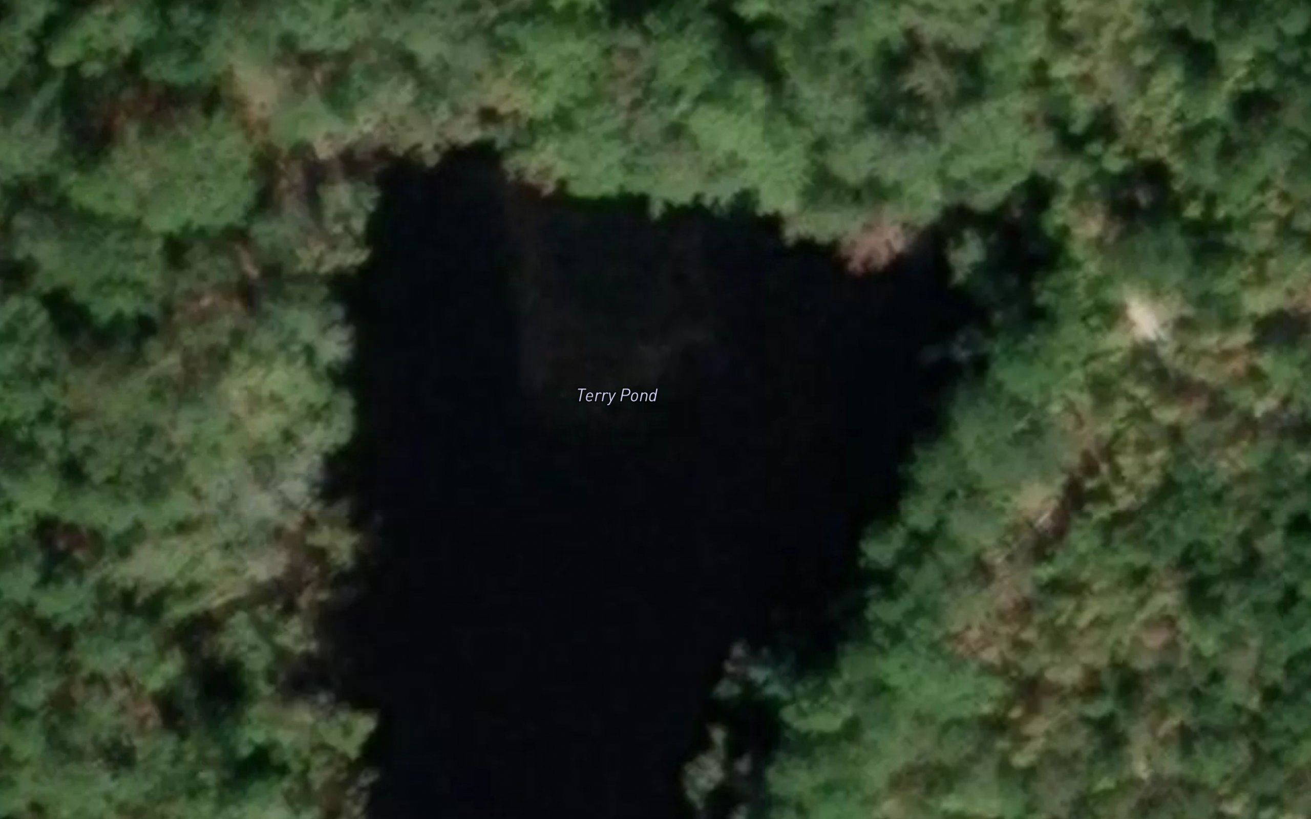 Terry Pond