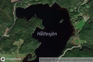 Haltesjoen