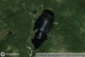 Lac Betula