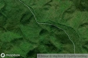 Little Rhododendron Creek