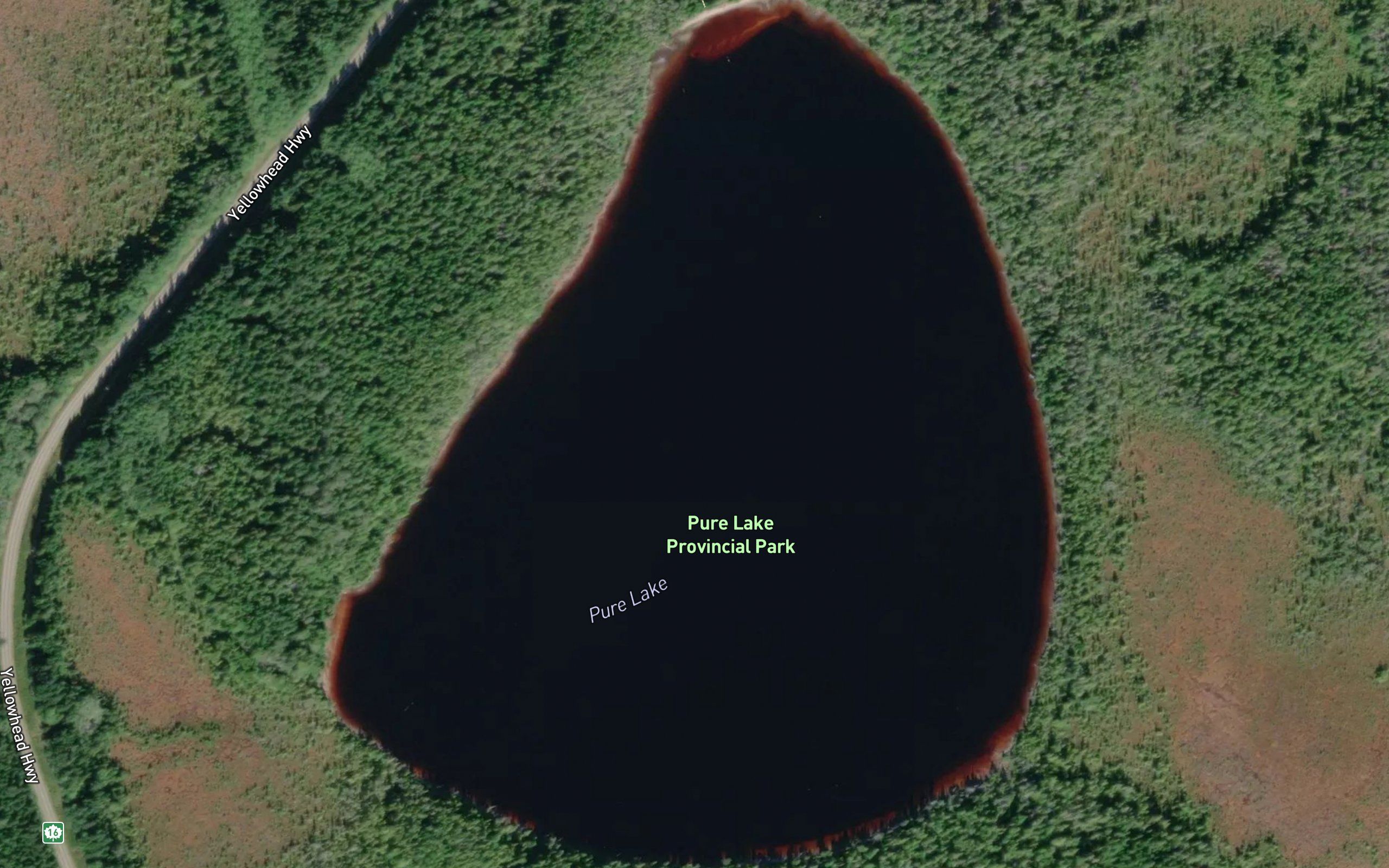 Pure Lake