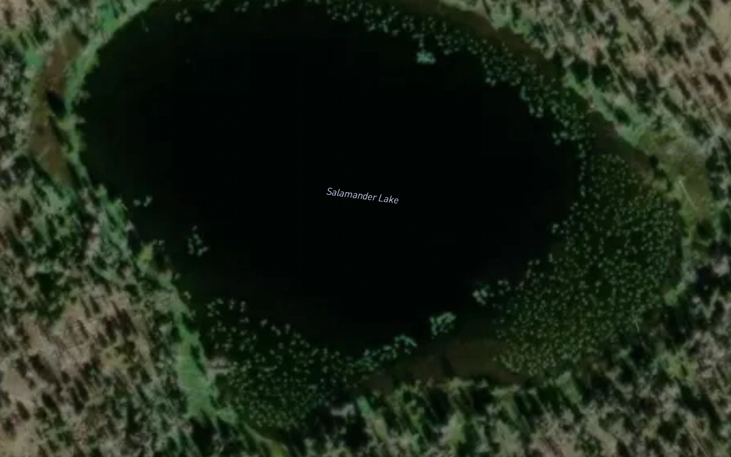 Salamander Lake