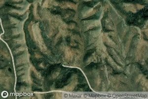 Yellow Jacket Spring