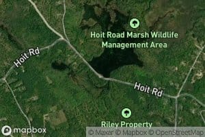 Hoit Road Marsh