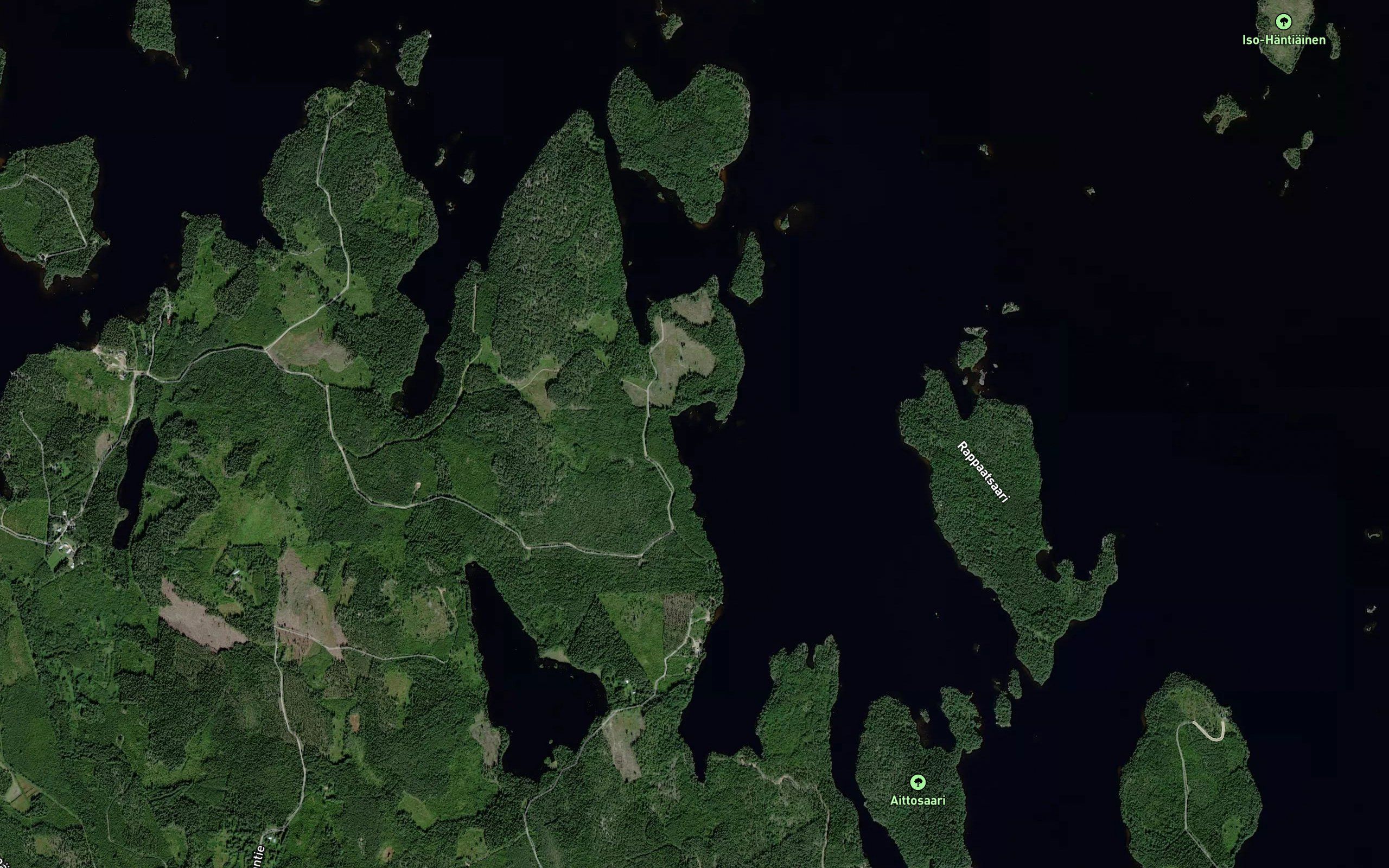 Haapakaarre