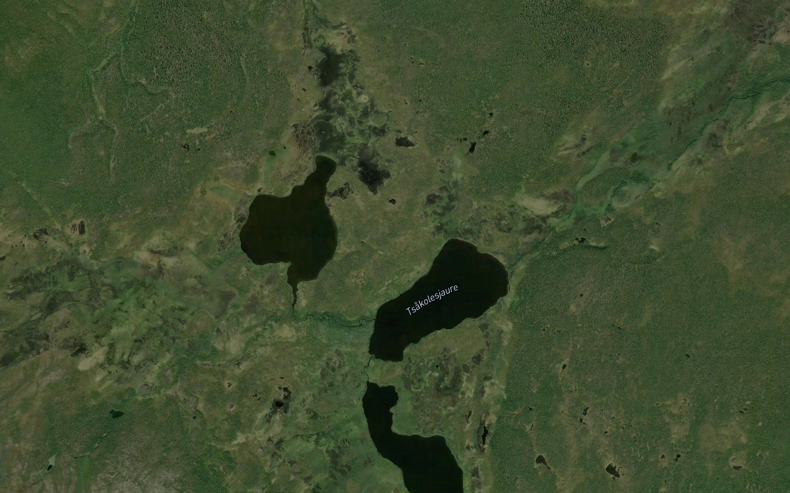 Tsakolesjaure