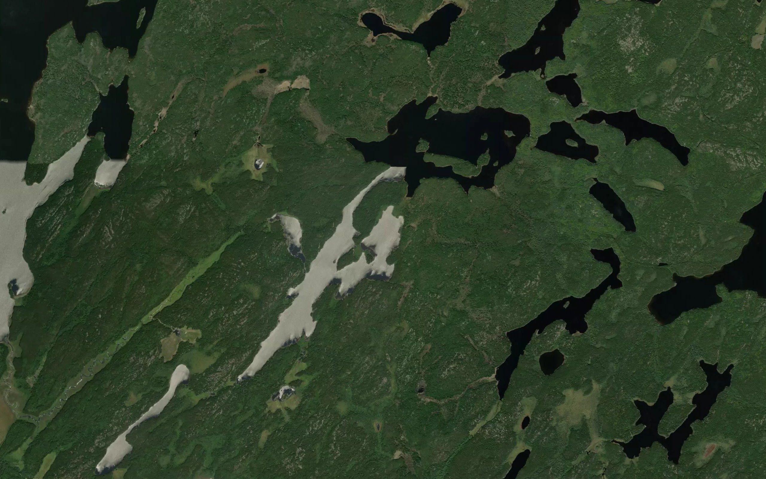 Gary Lake