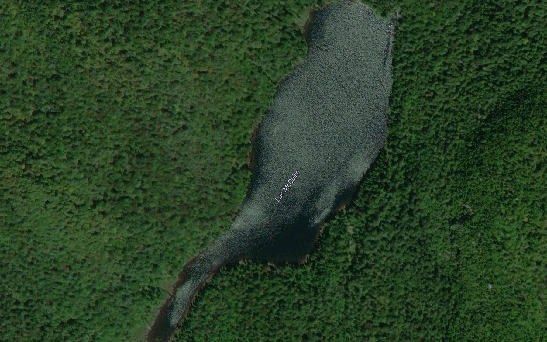 Satellite map of the Lac McGuire