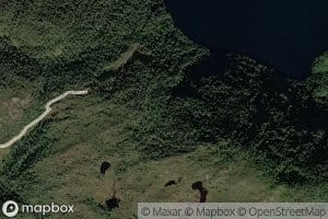 Storegrova