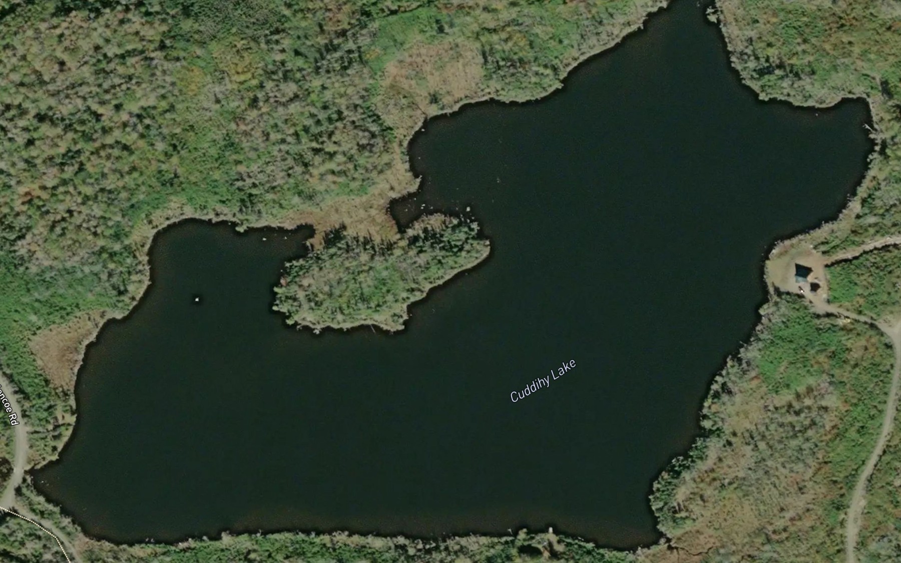 Satellite map of the Cuddihy Lake
