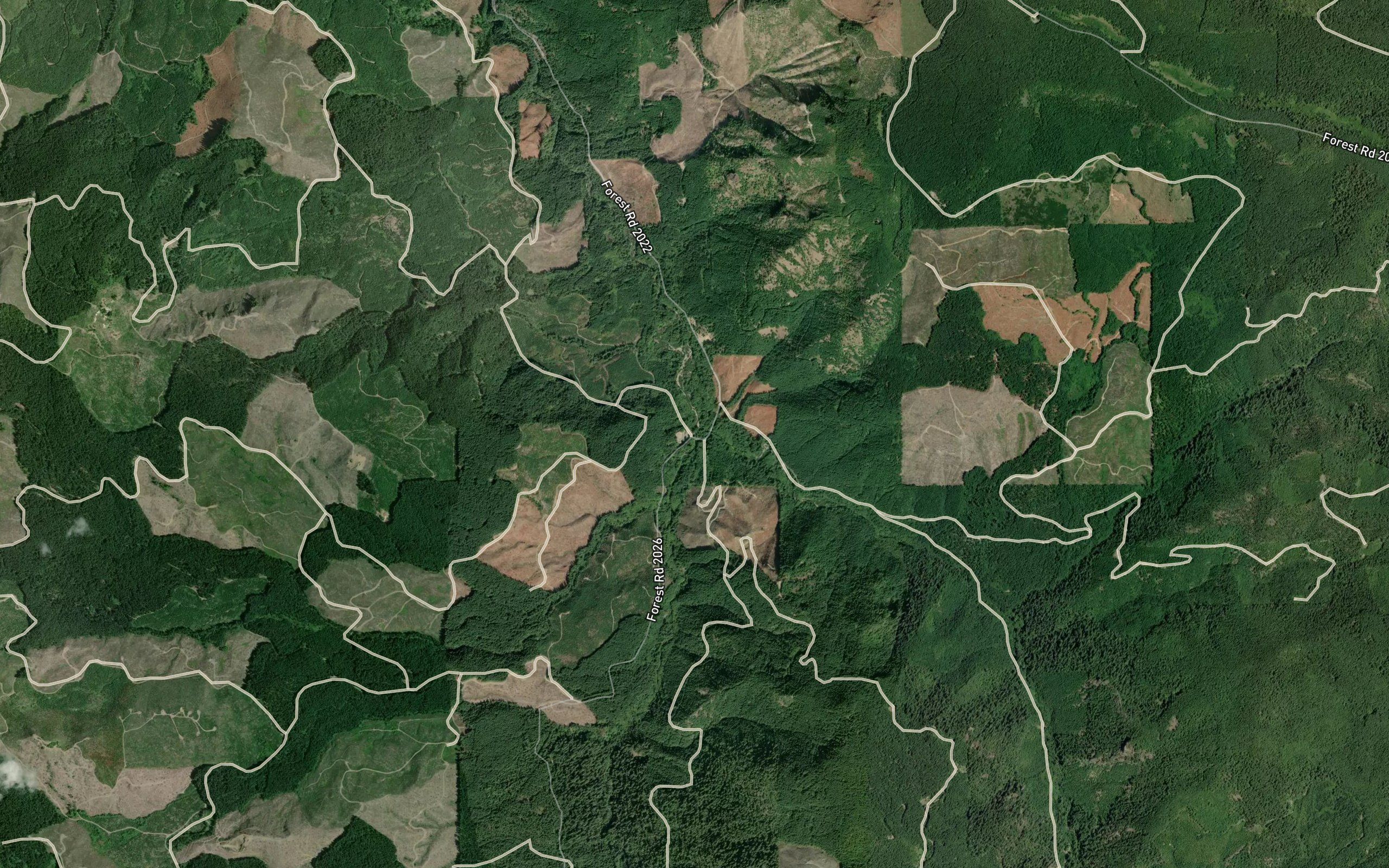 Owl Creek