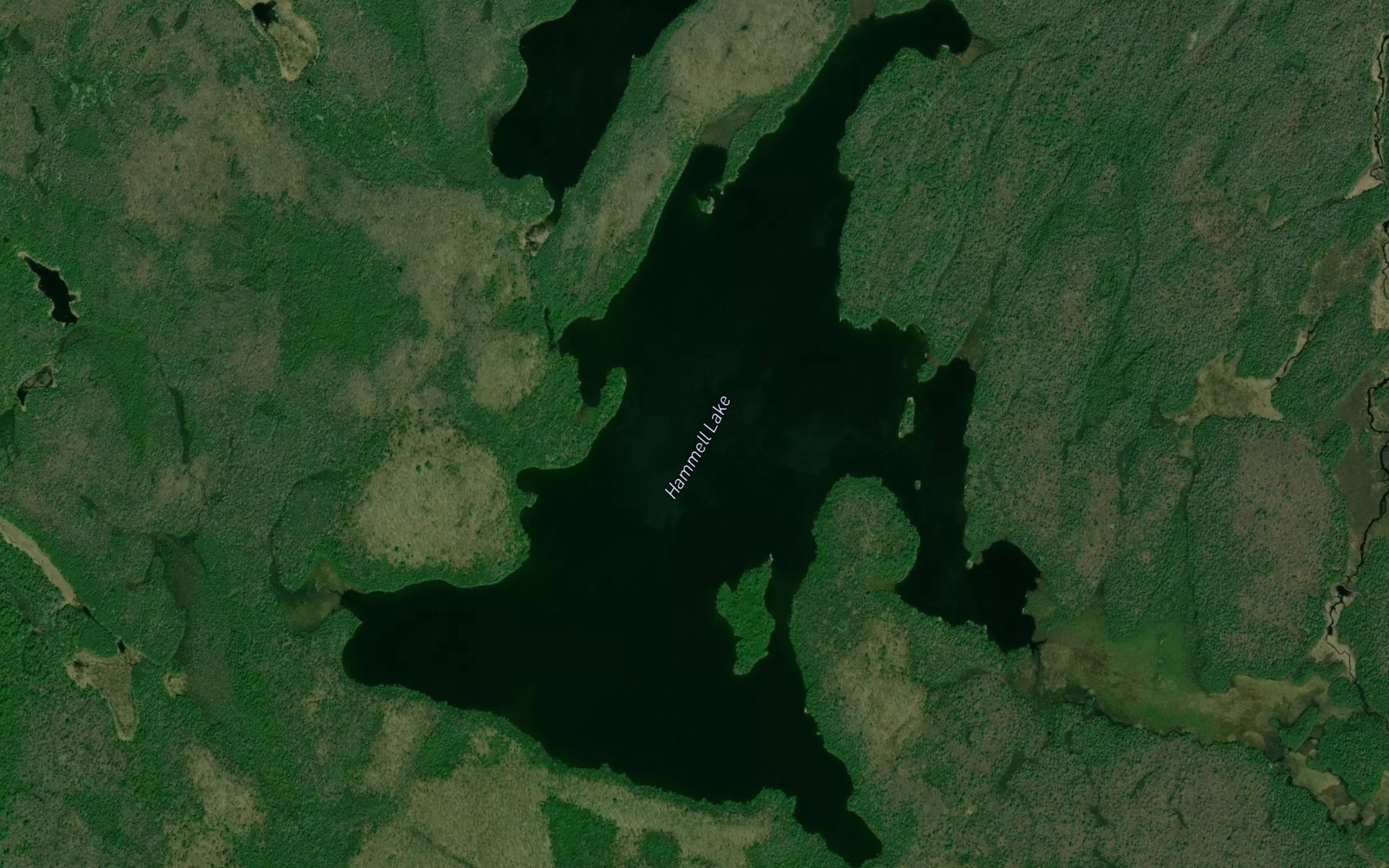 Satellite map of the Hammell Lake