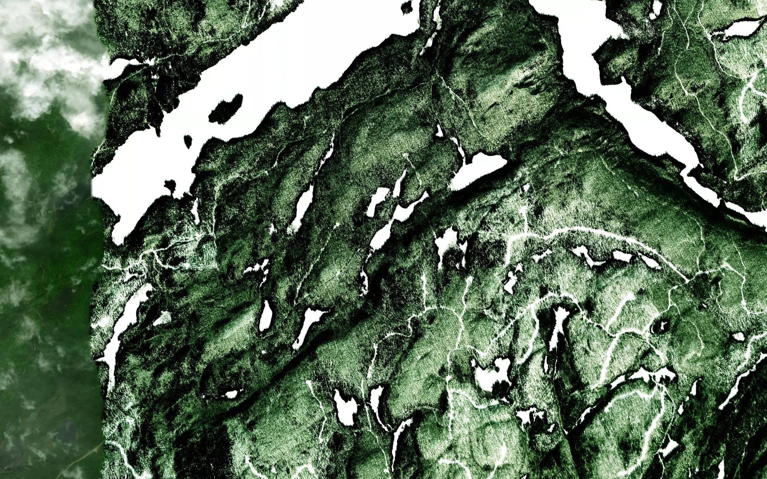 Lac Fern
